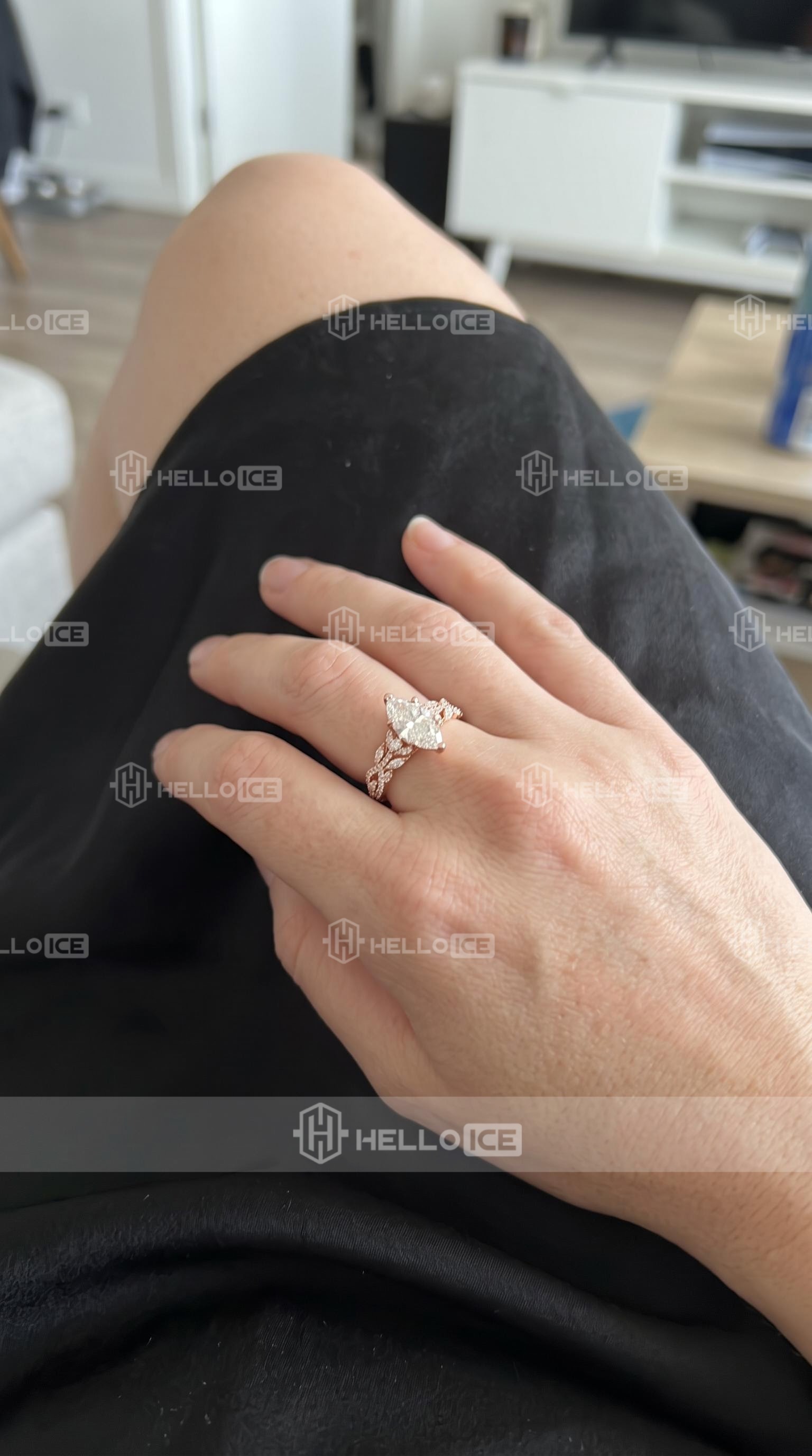 Helloice Review Image