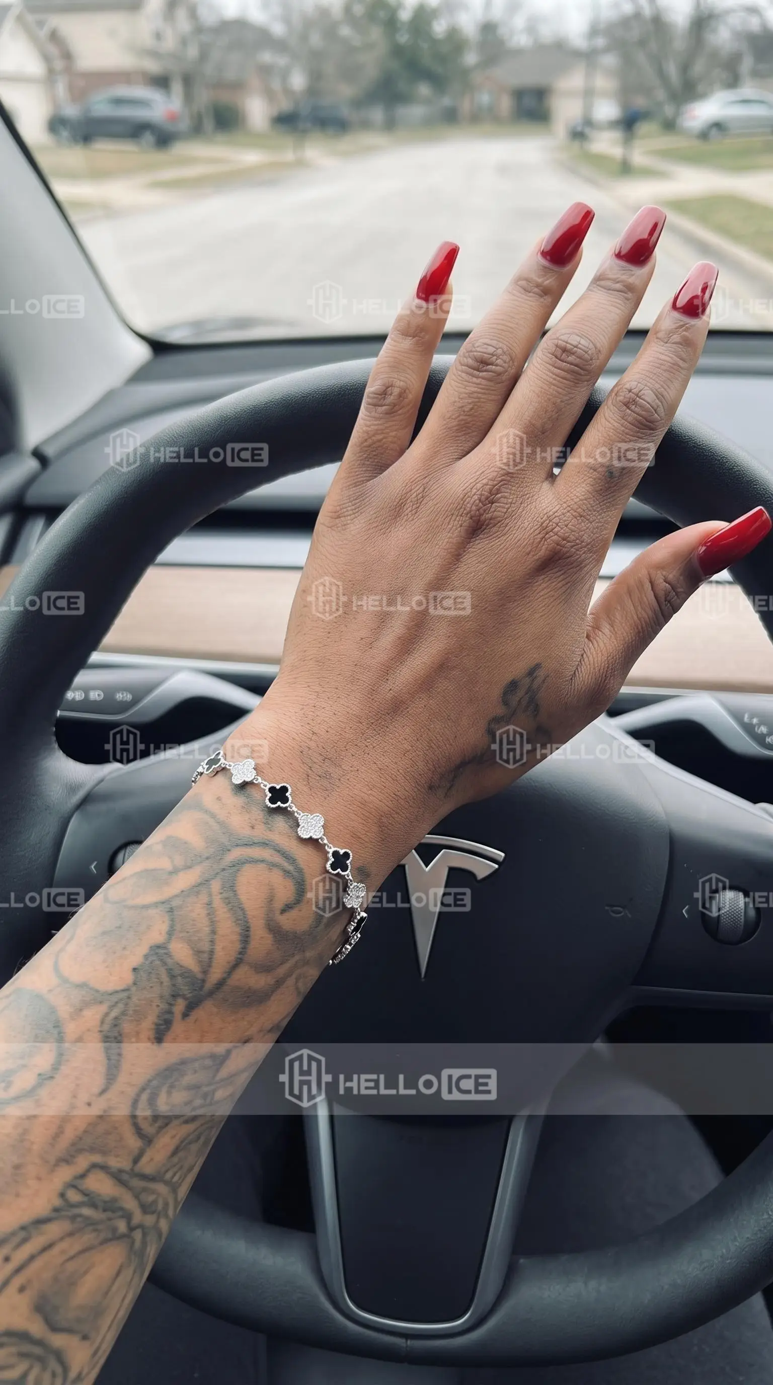 Helloice Review Image