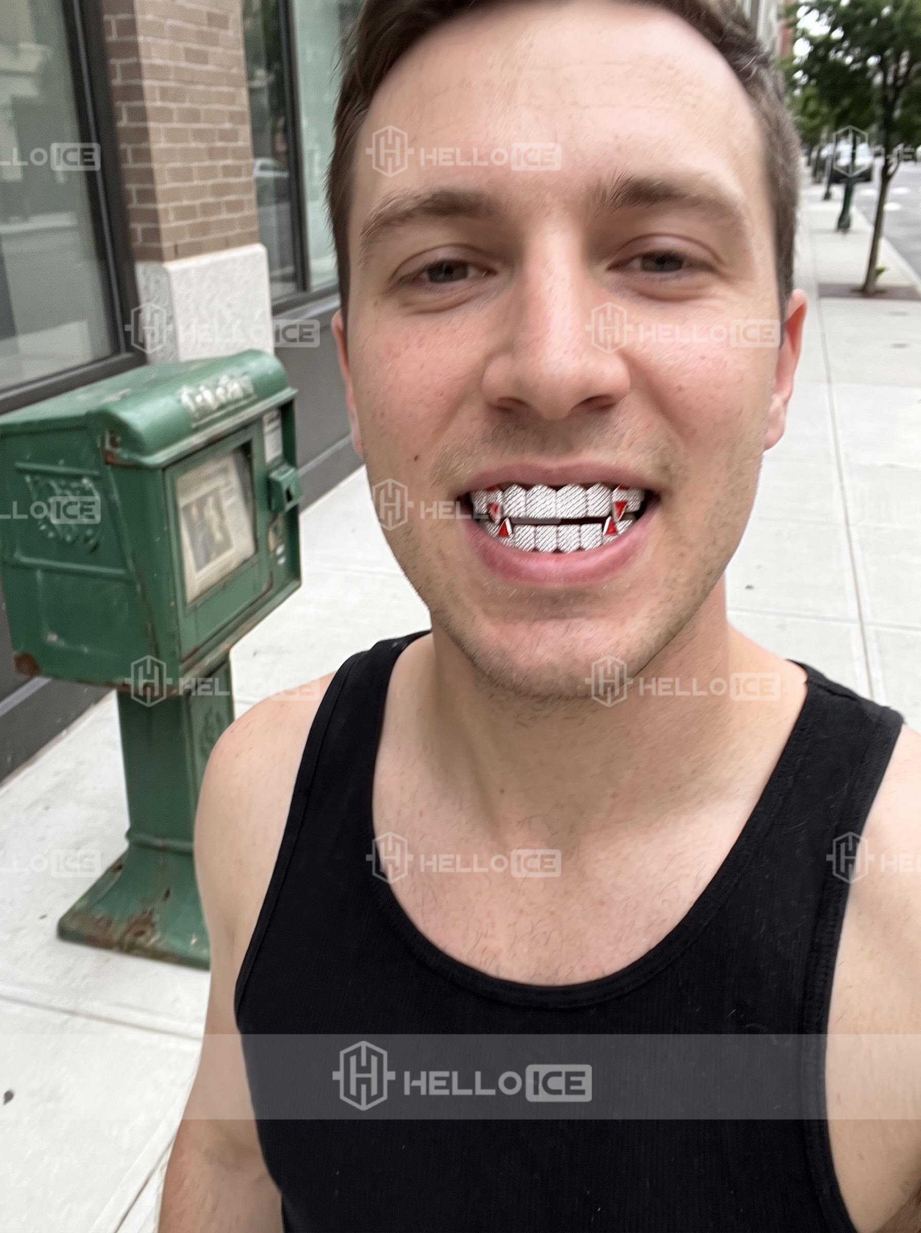Helloice Review Image