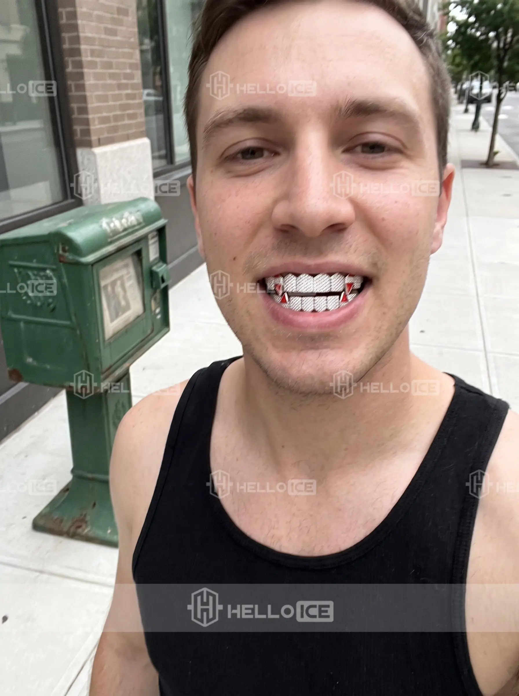 Helloice Review Image