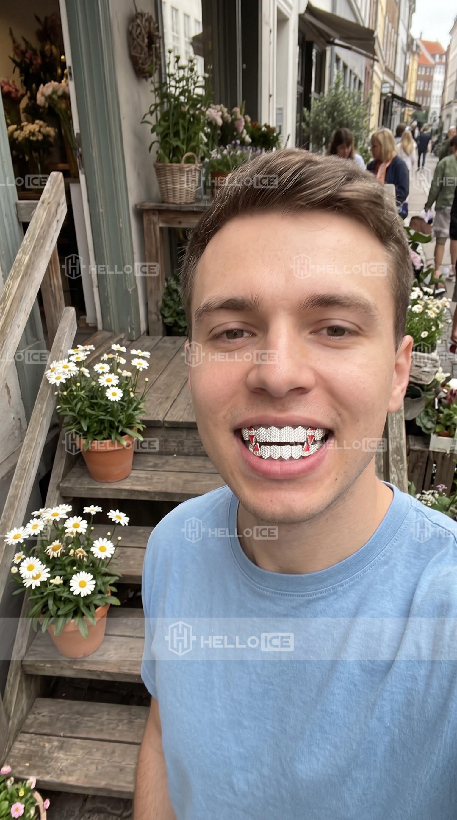 Helloice Review Image