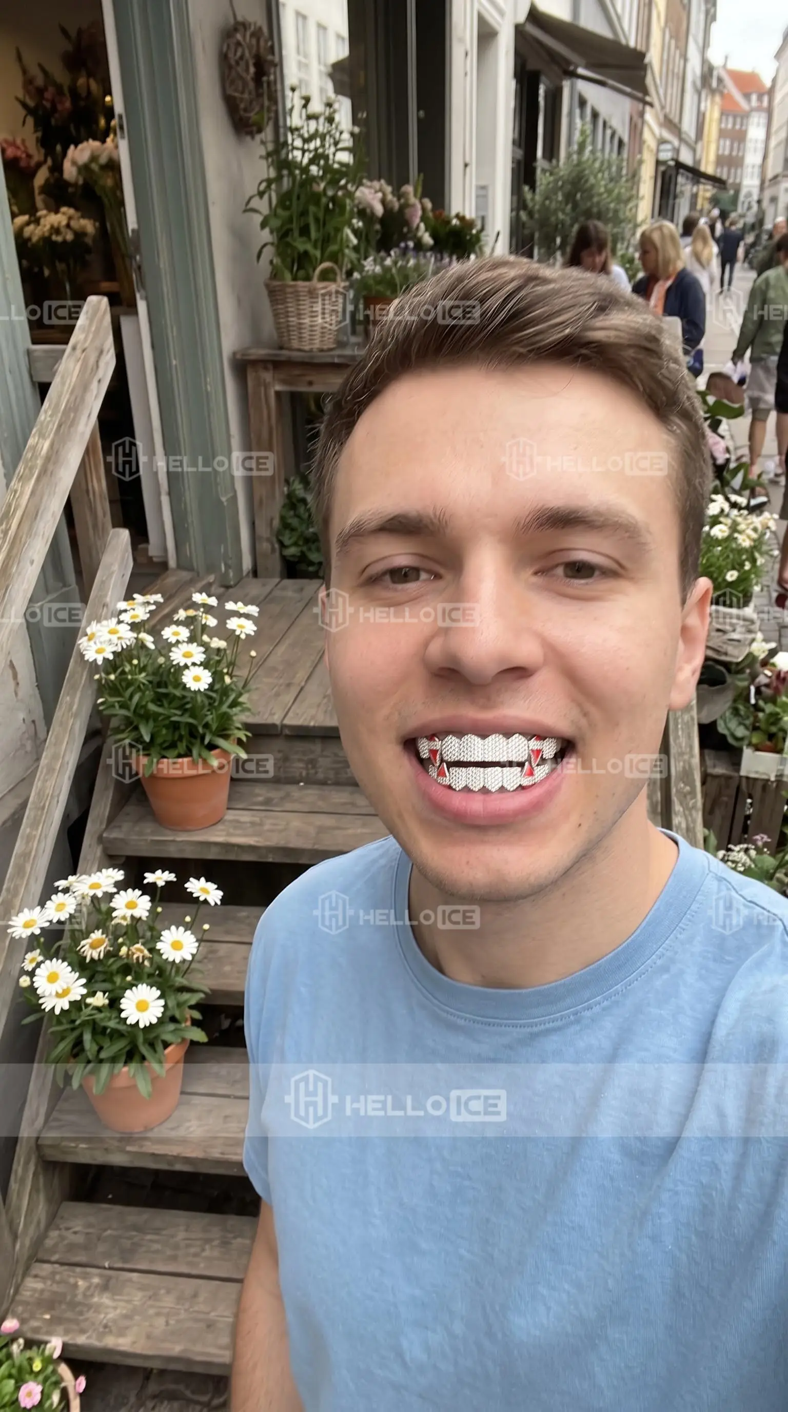 Helloice Review Image