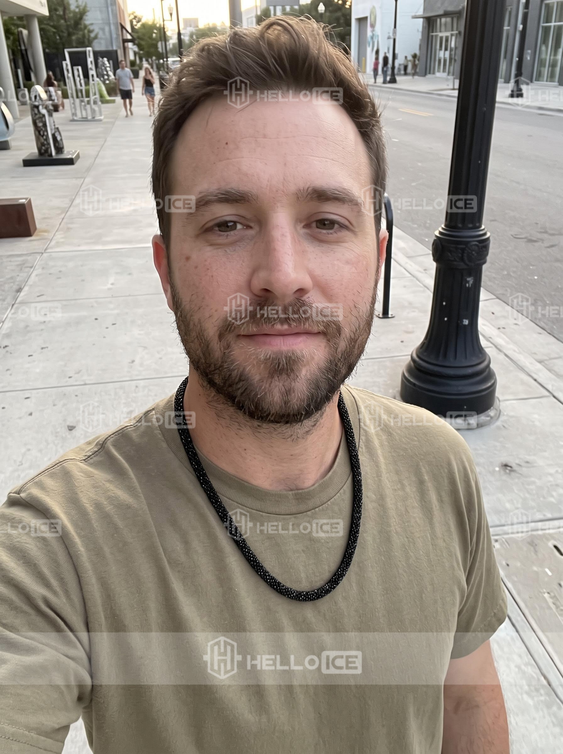 Helloice Review Image