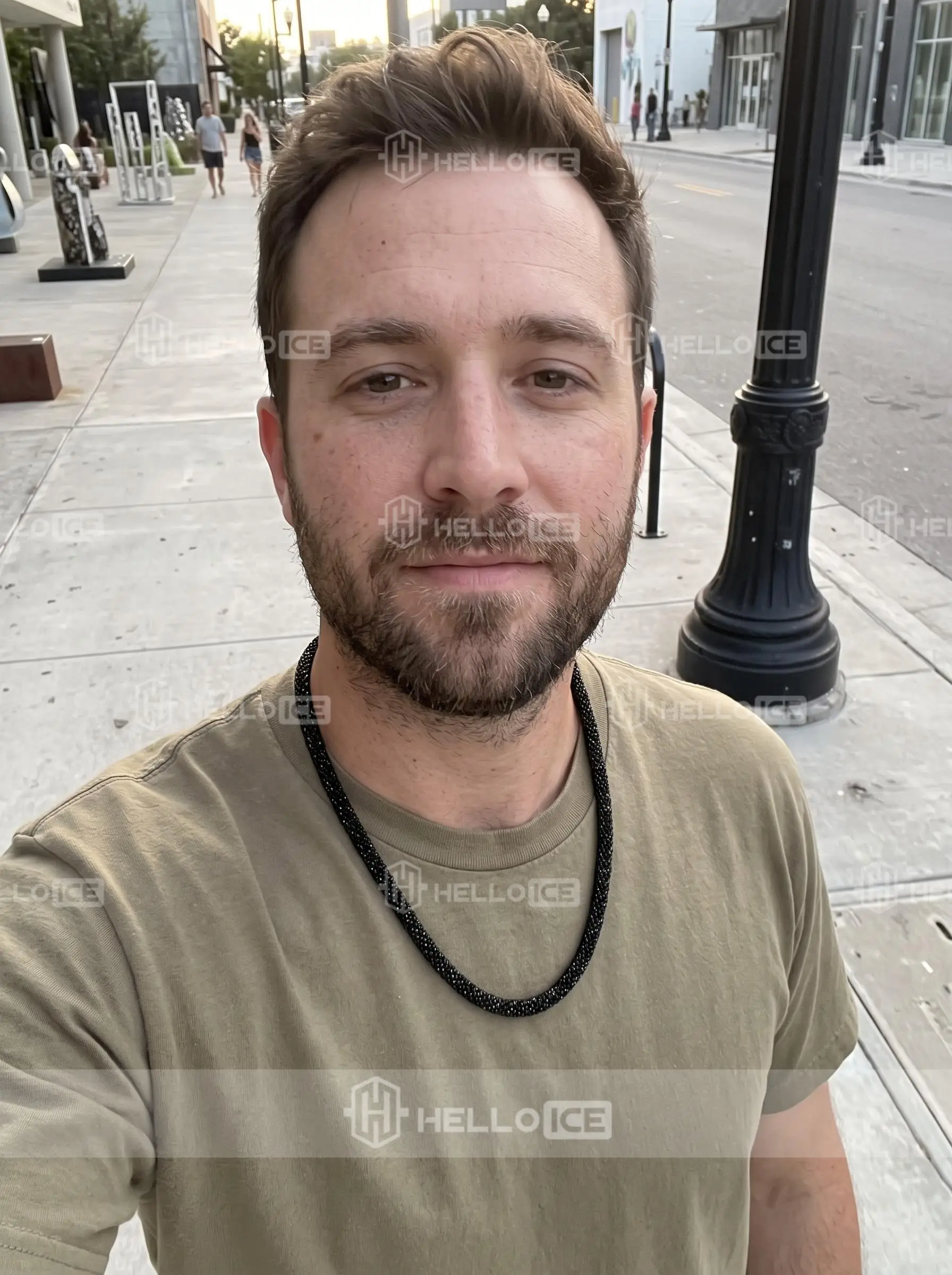 Helloice Review Image