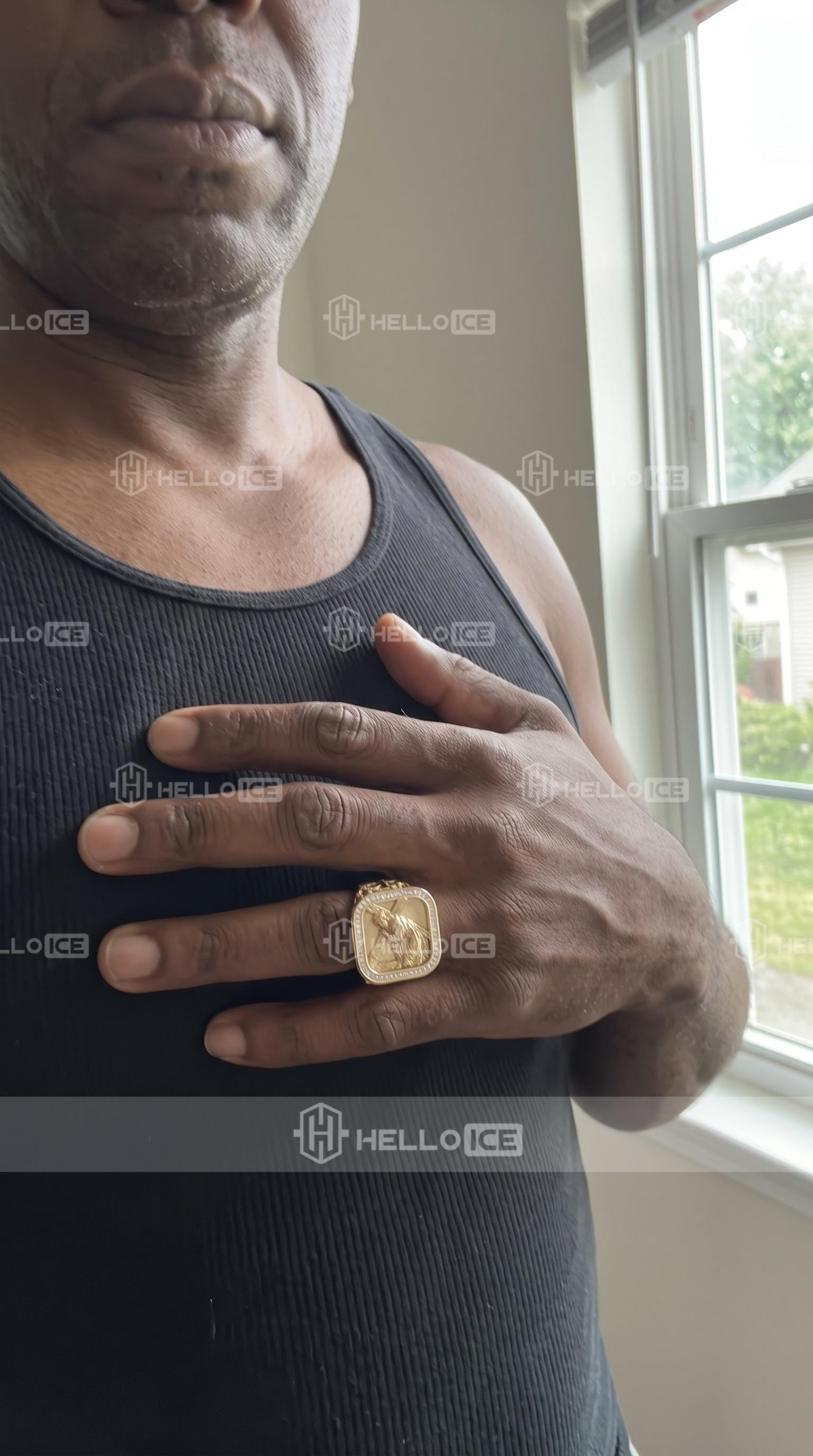 Helloice Review Image