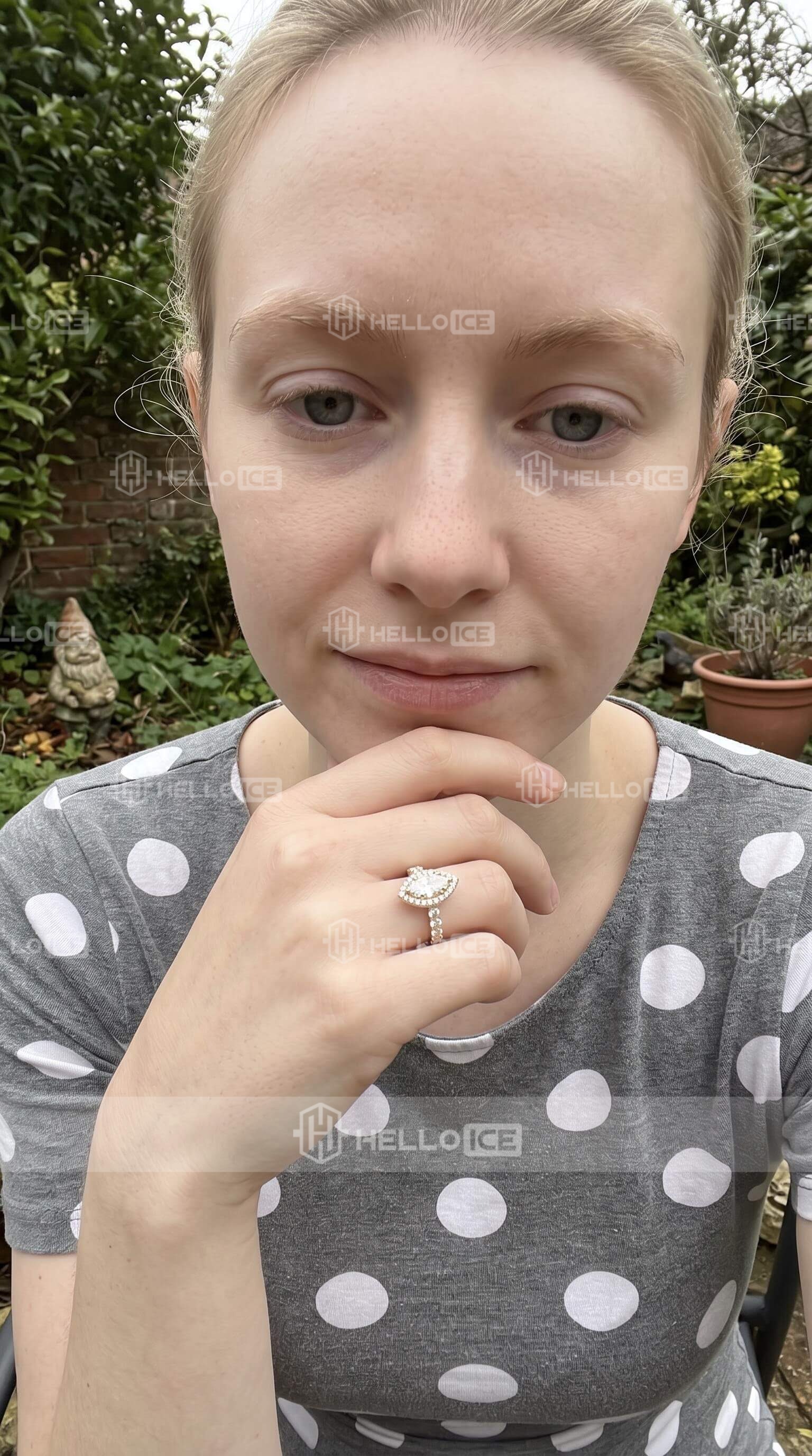 Helloice Review Image