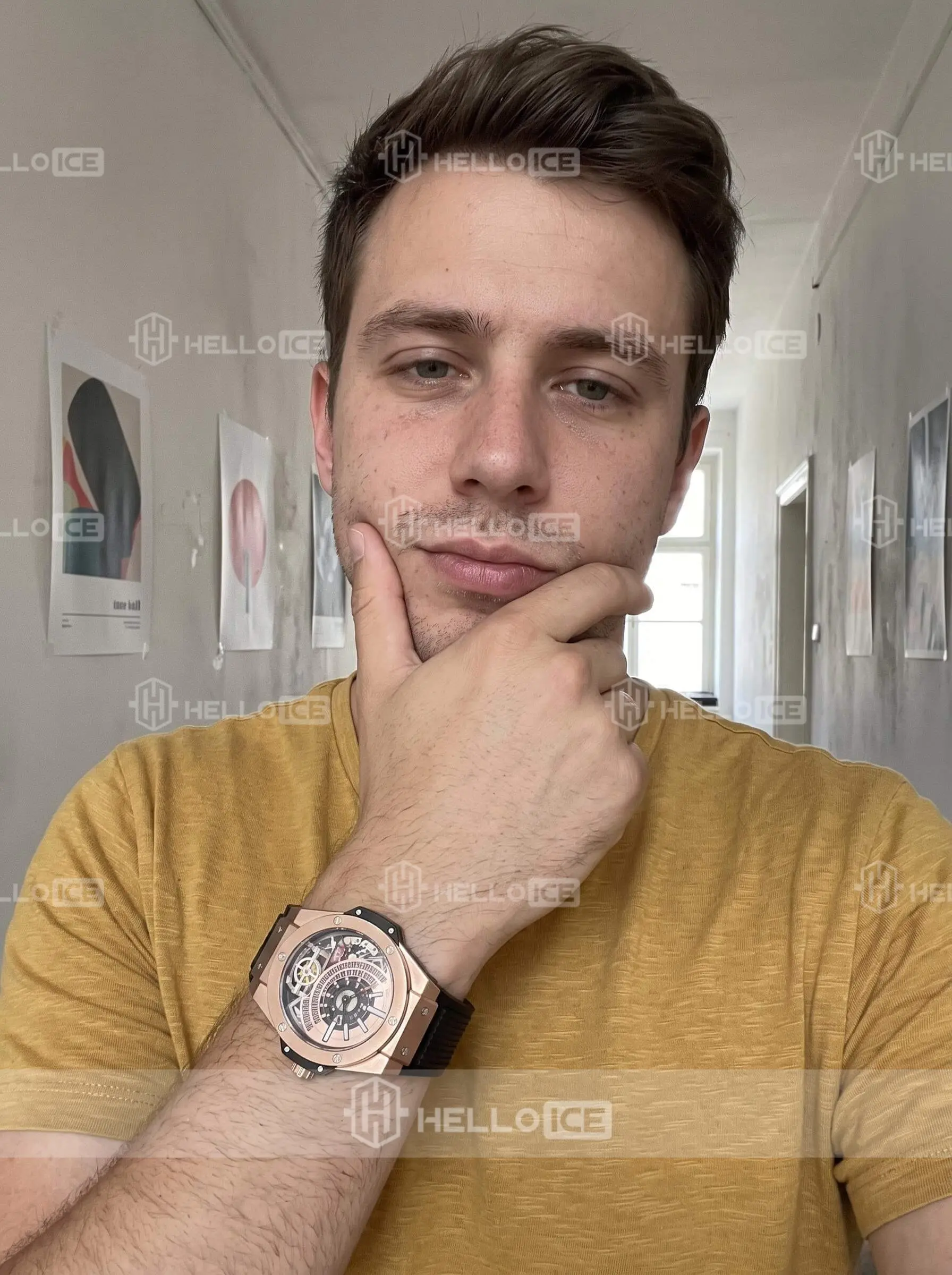 Helloice Review Image
