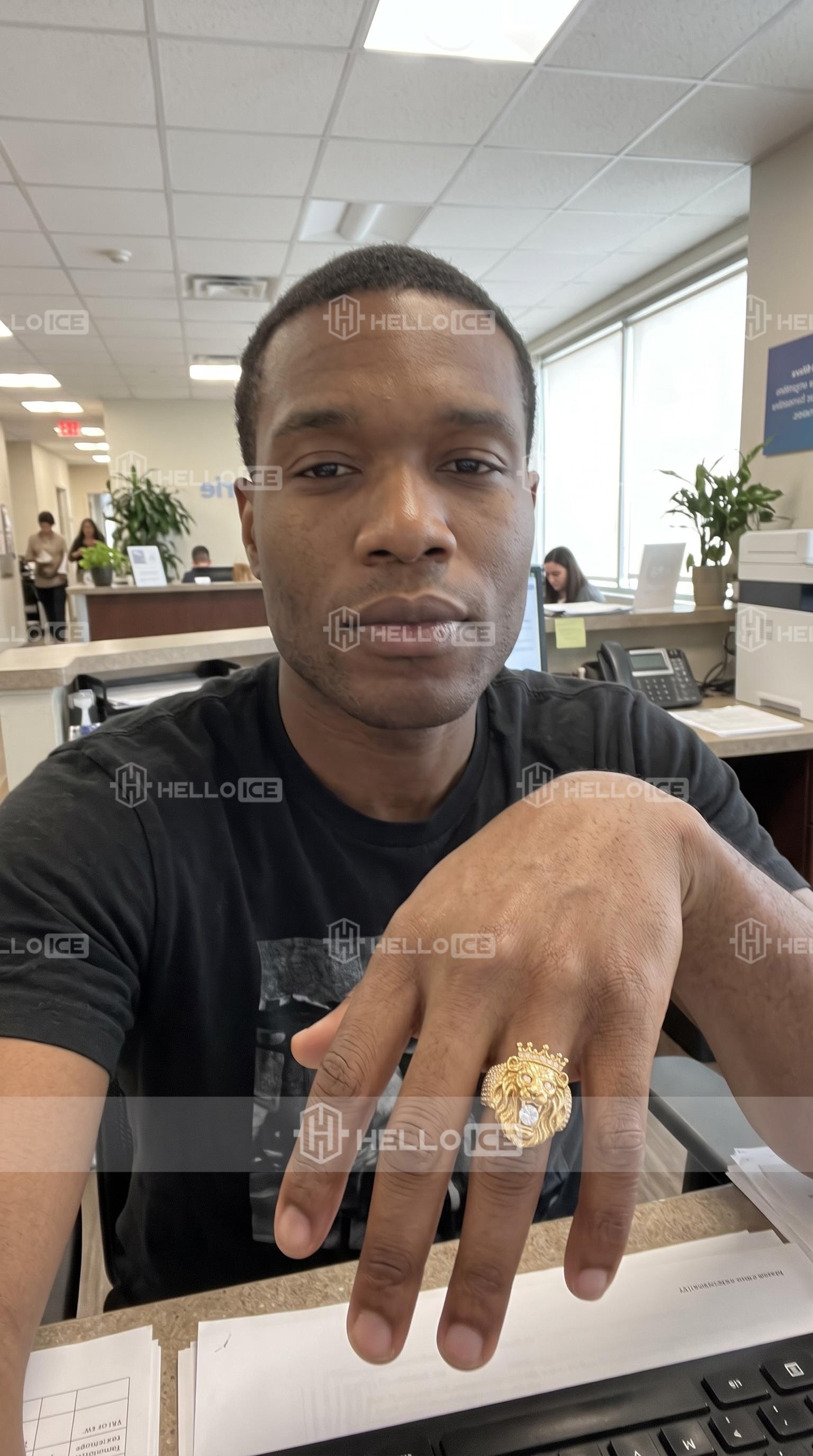 Helloice Review Image