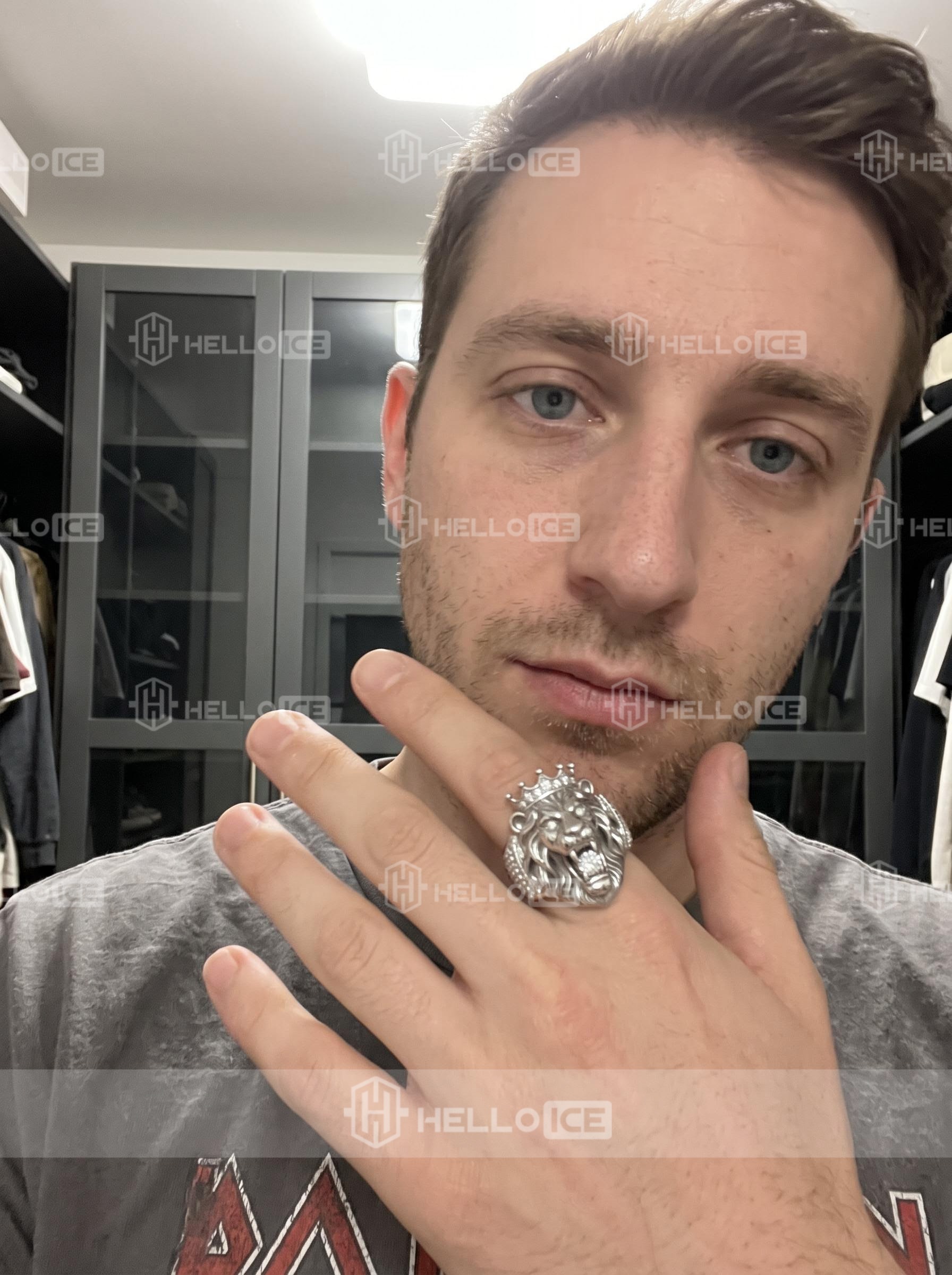 Helloice Review Image