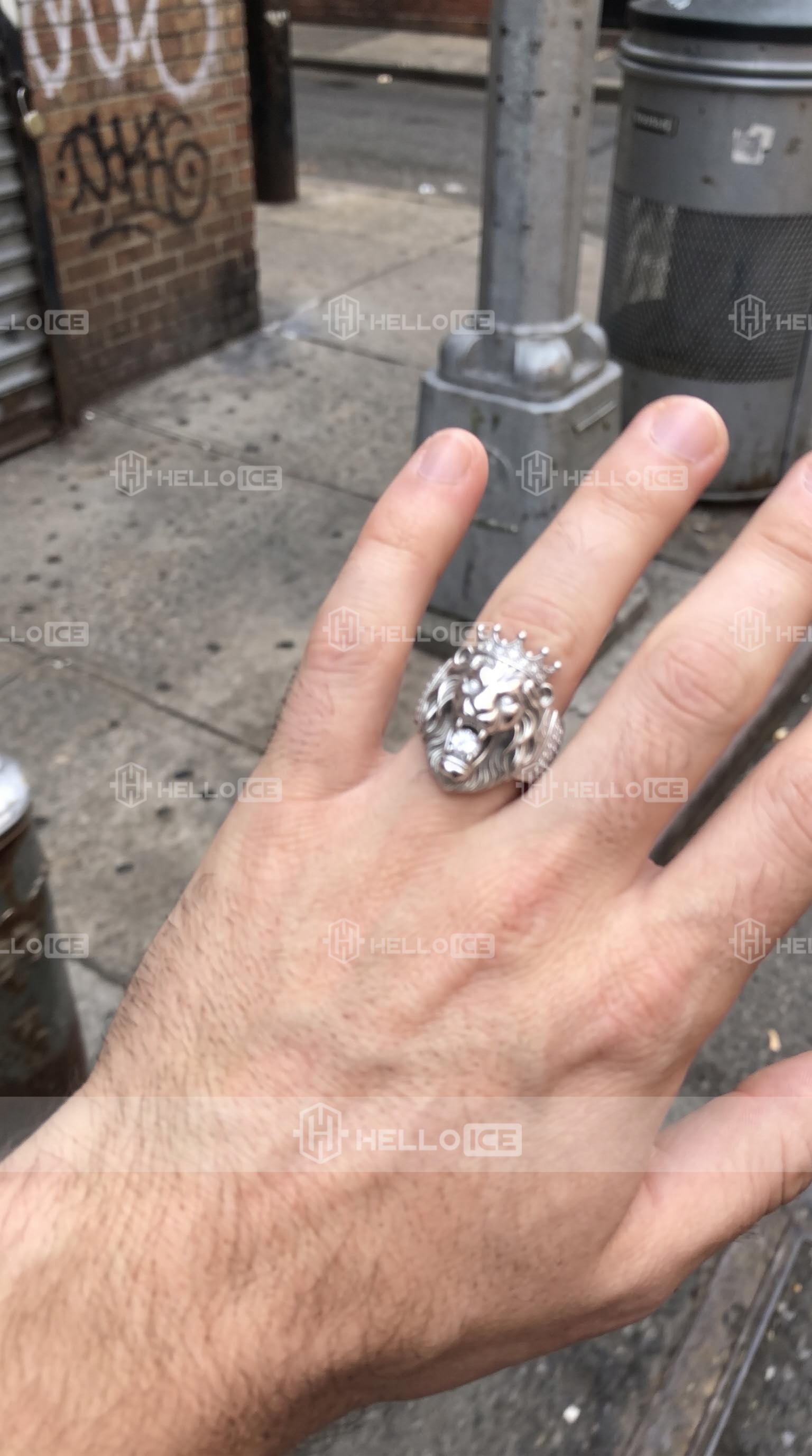 Helloice Review Image