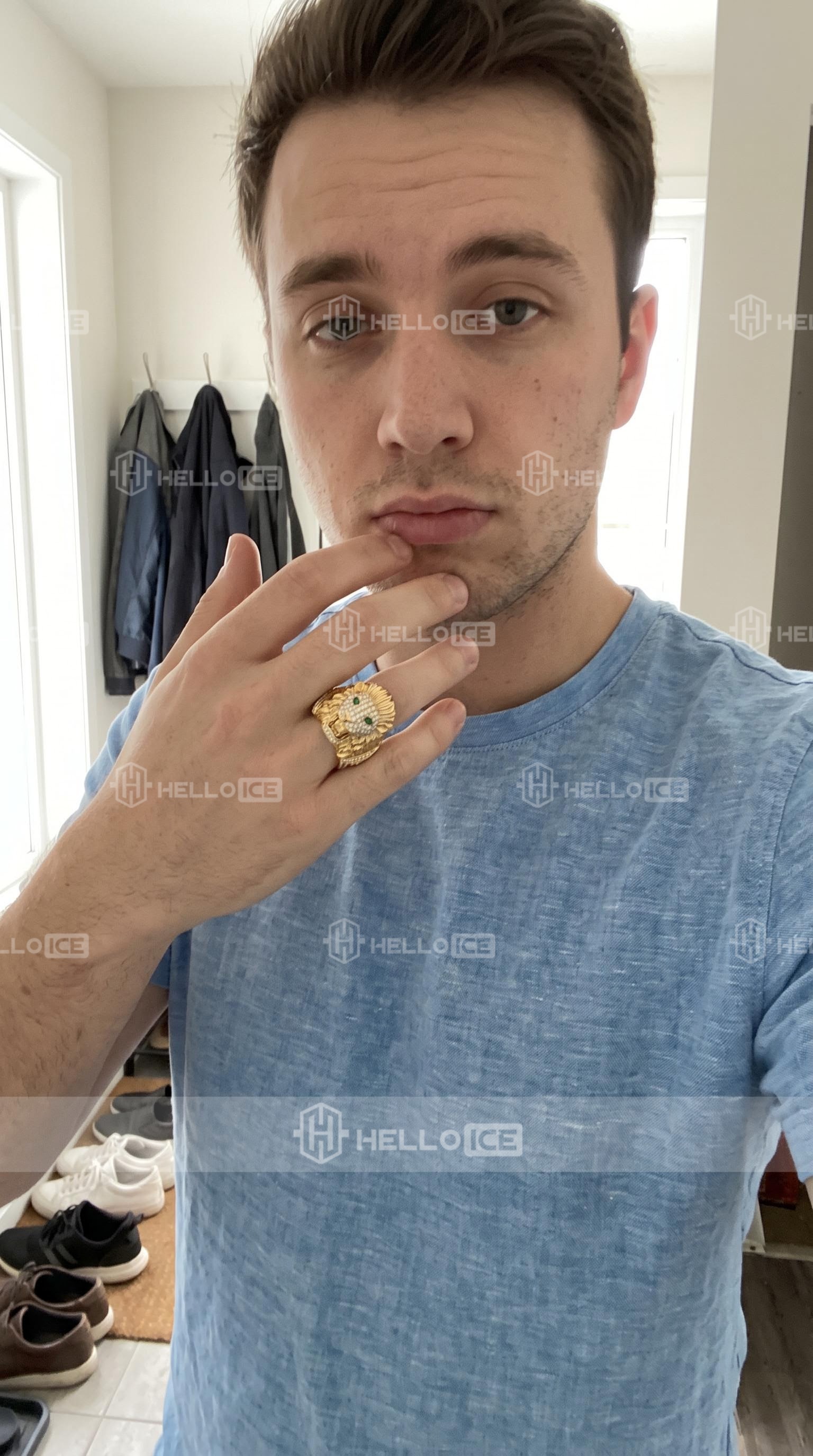 Helloice Review Image