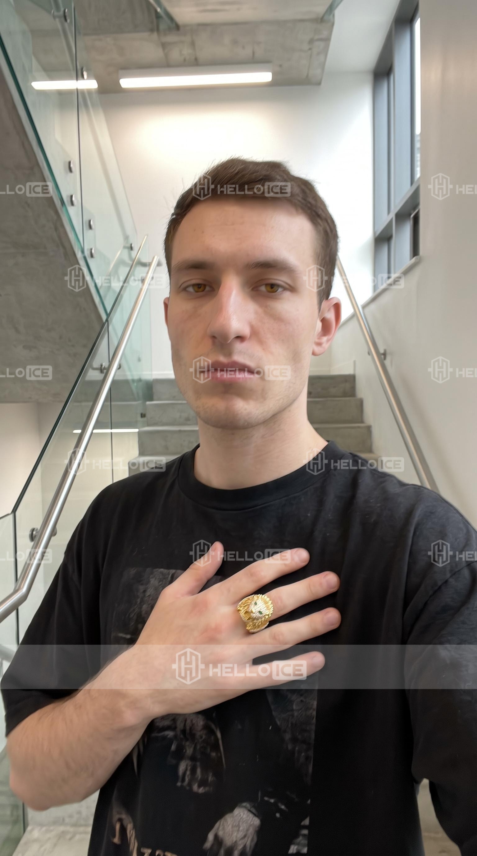 Helloice Review Image
