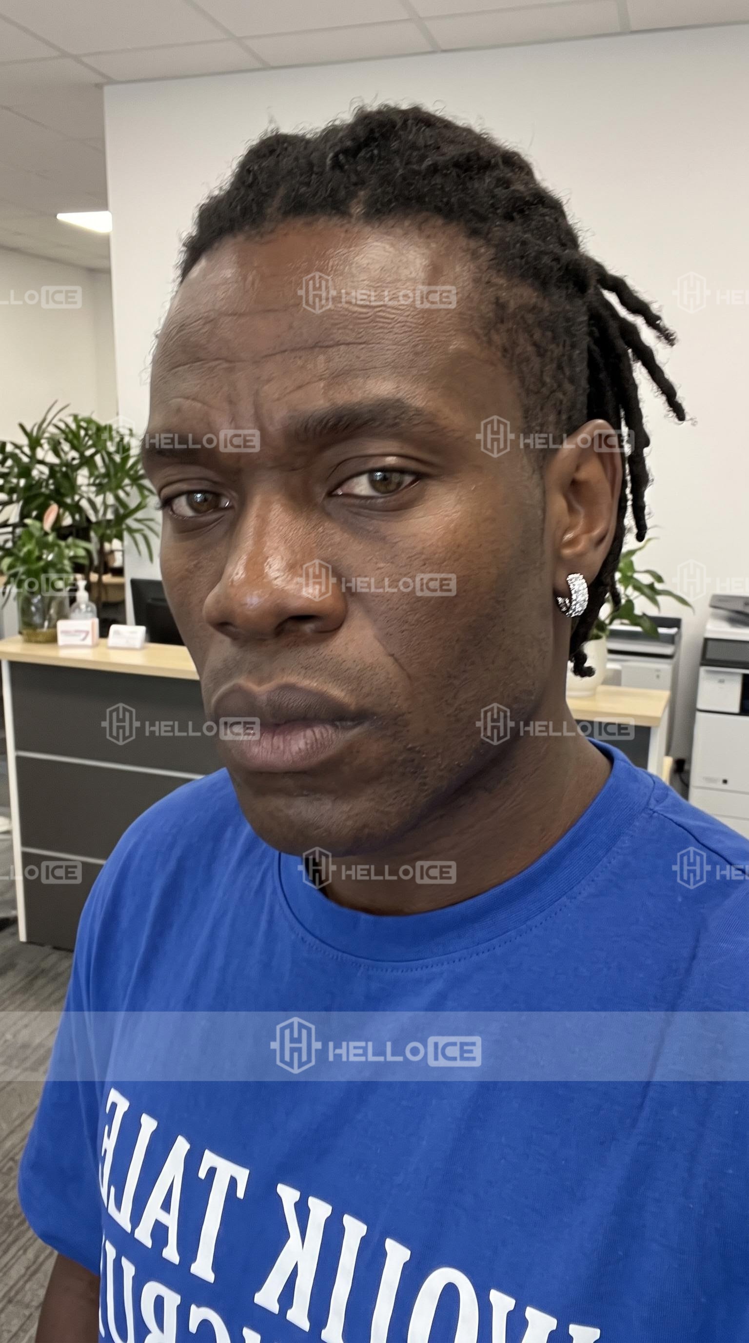 Helloice Review Image