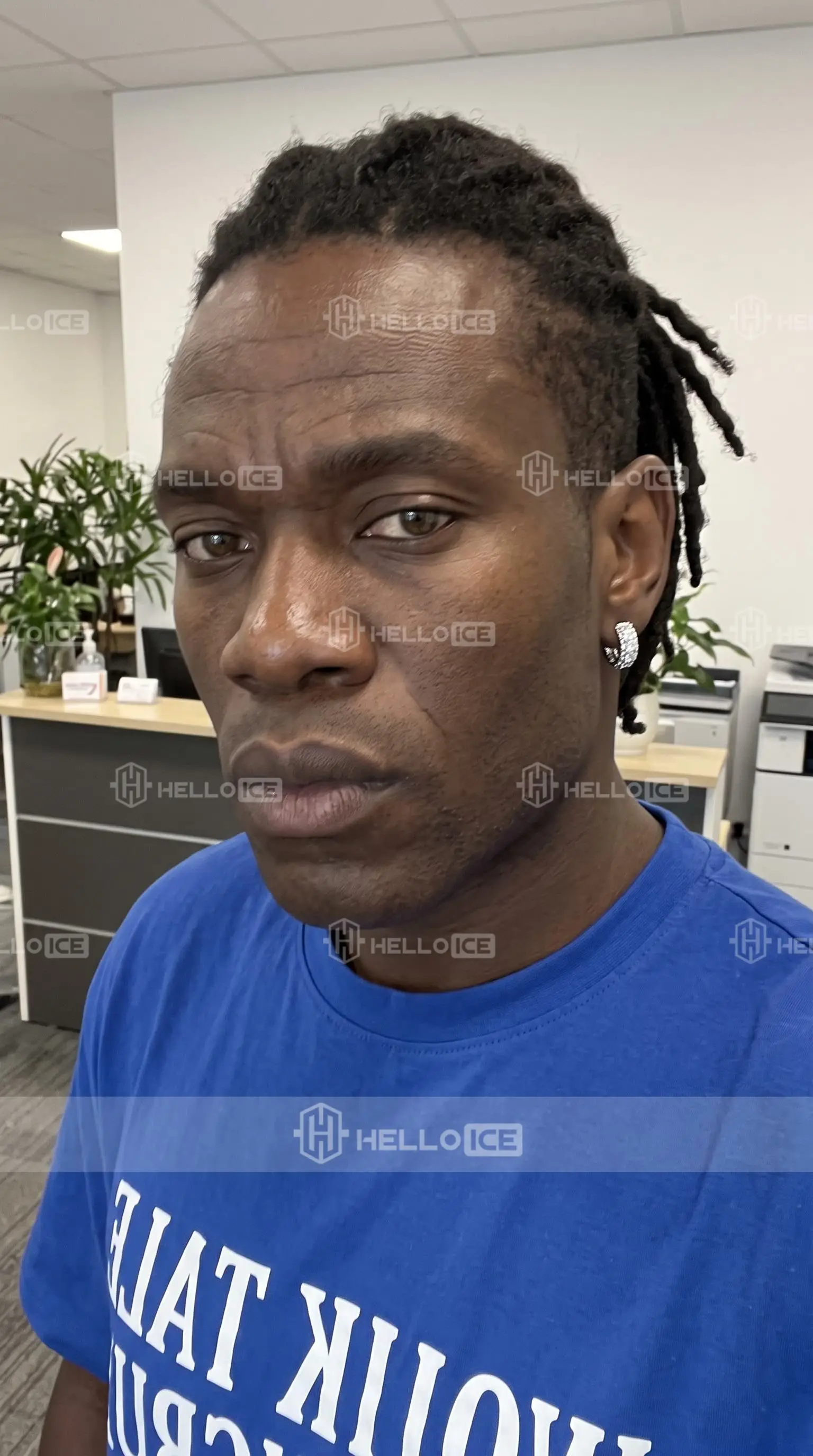 Helloice Review Image