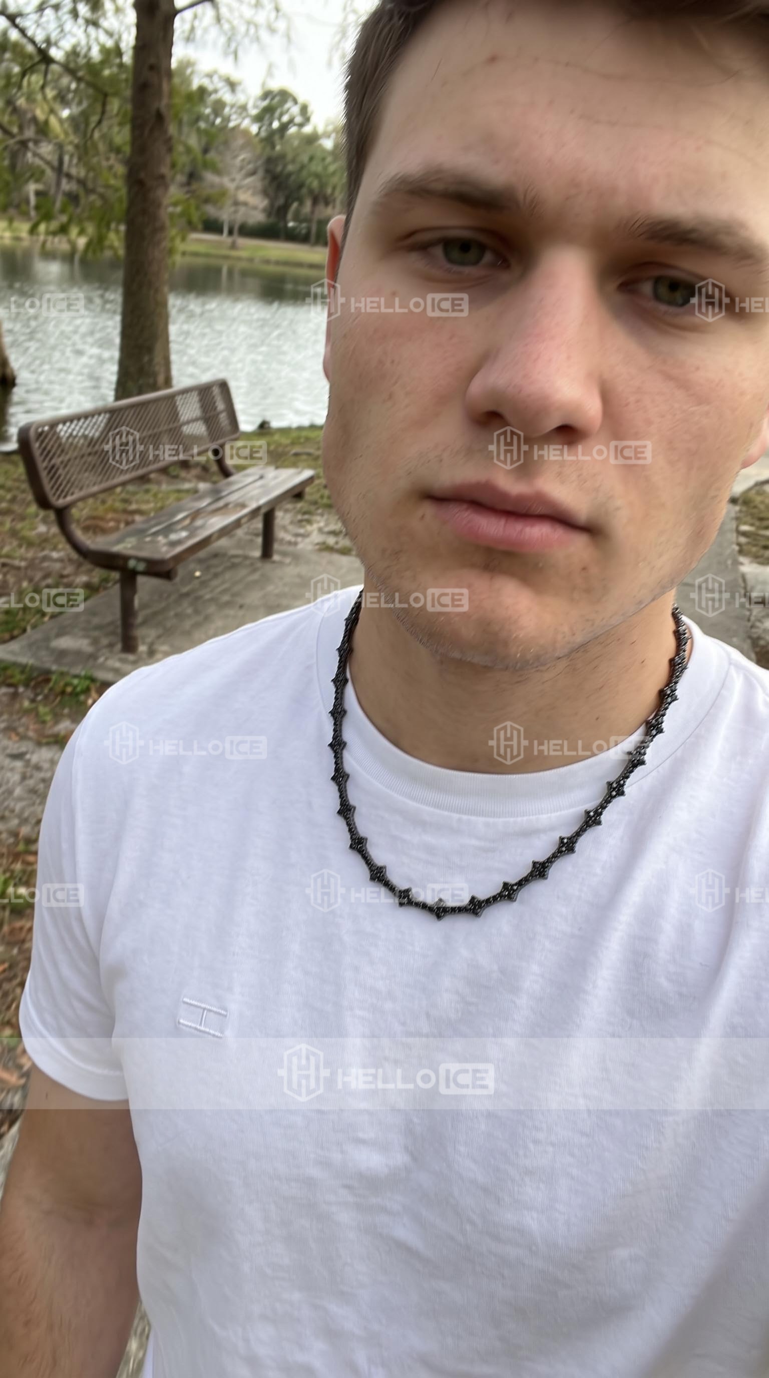 Helloice Review Image