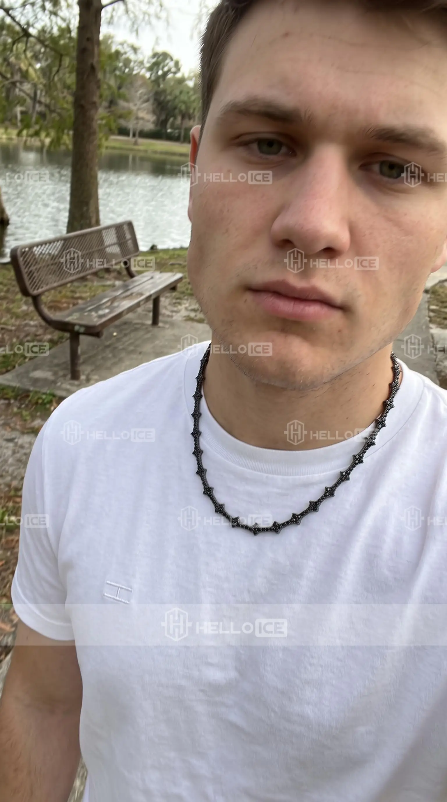Helloice Review Image