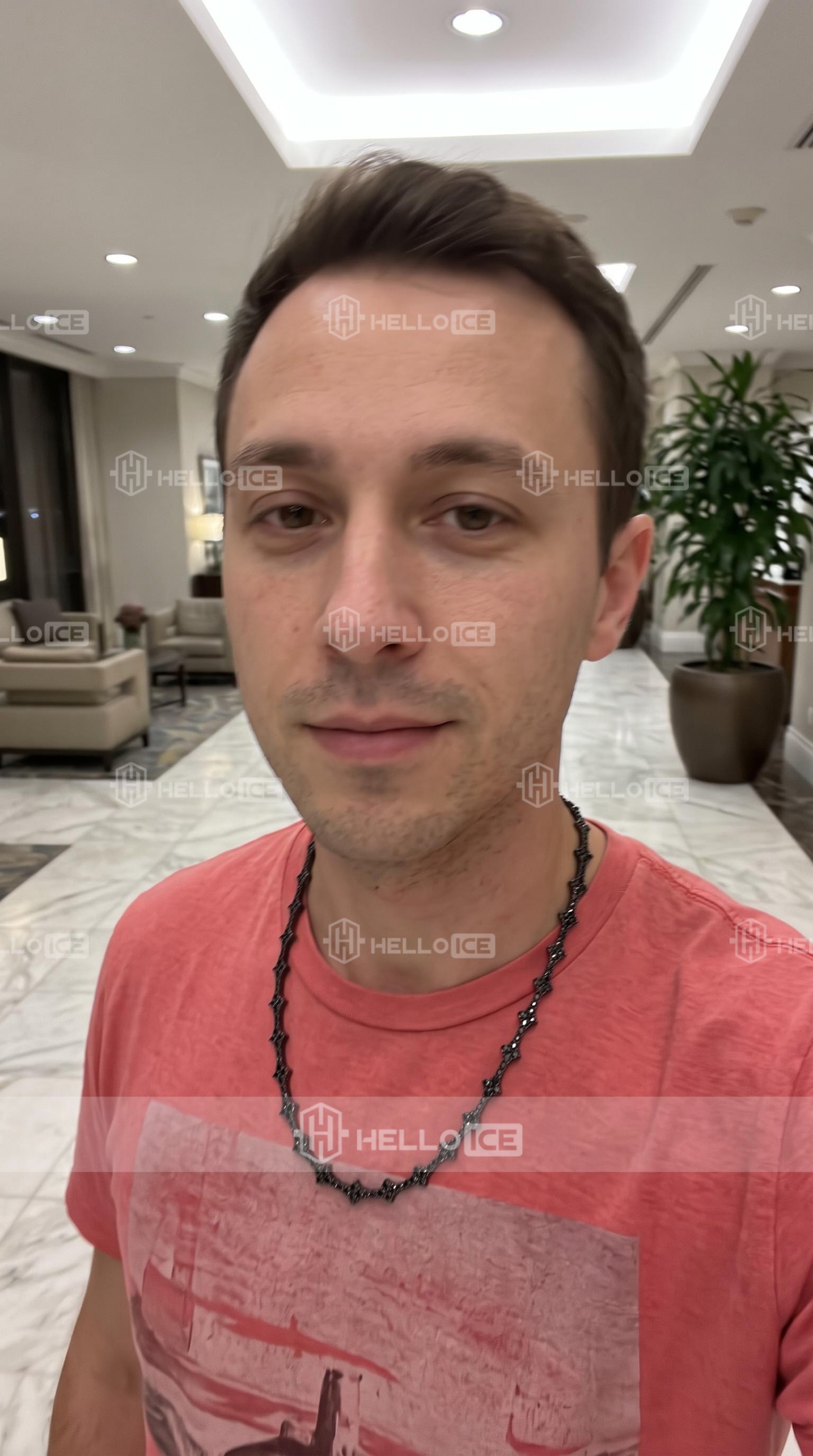 Helloice Review Image