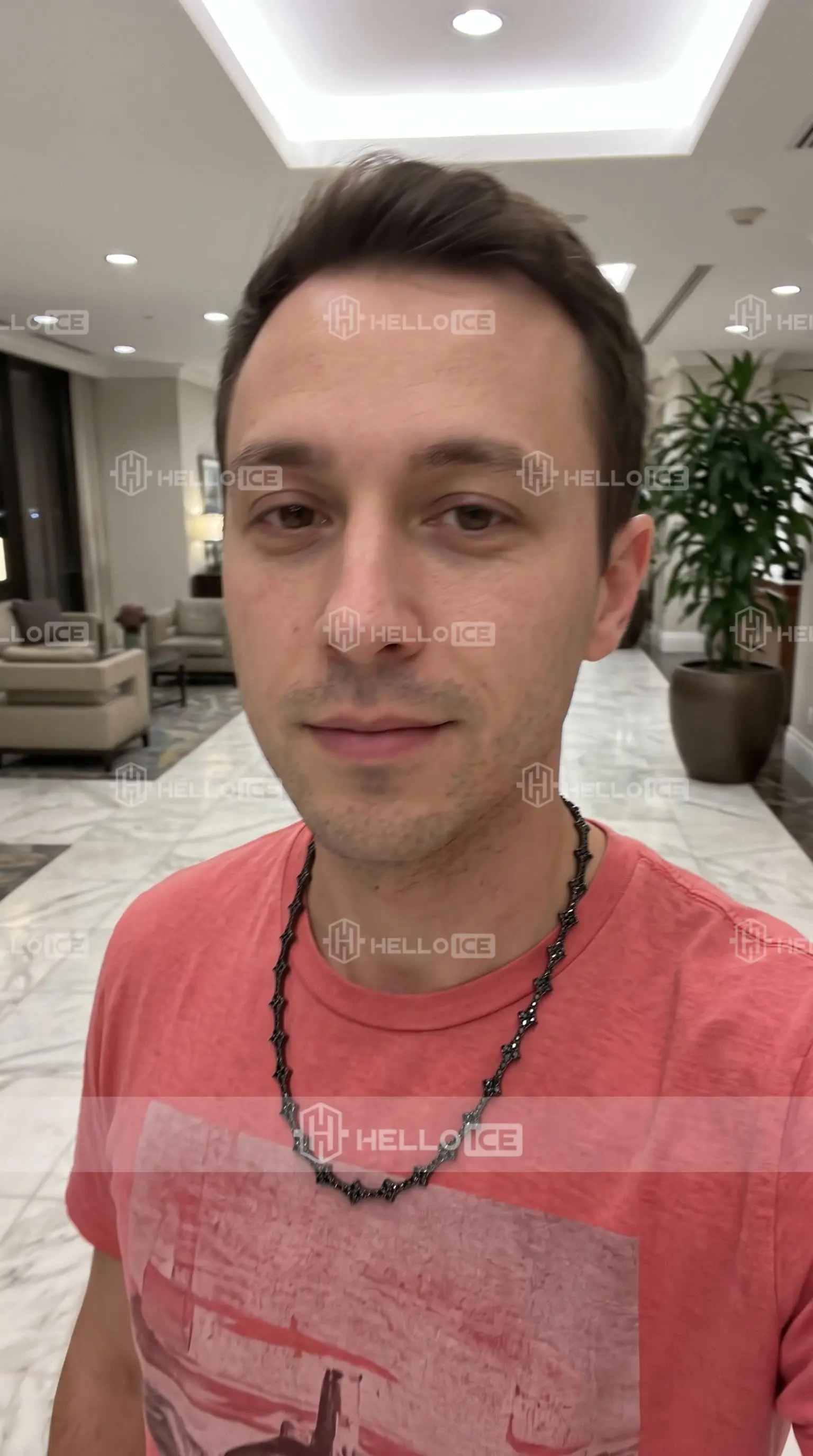 Helloice Review Image