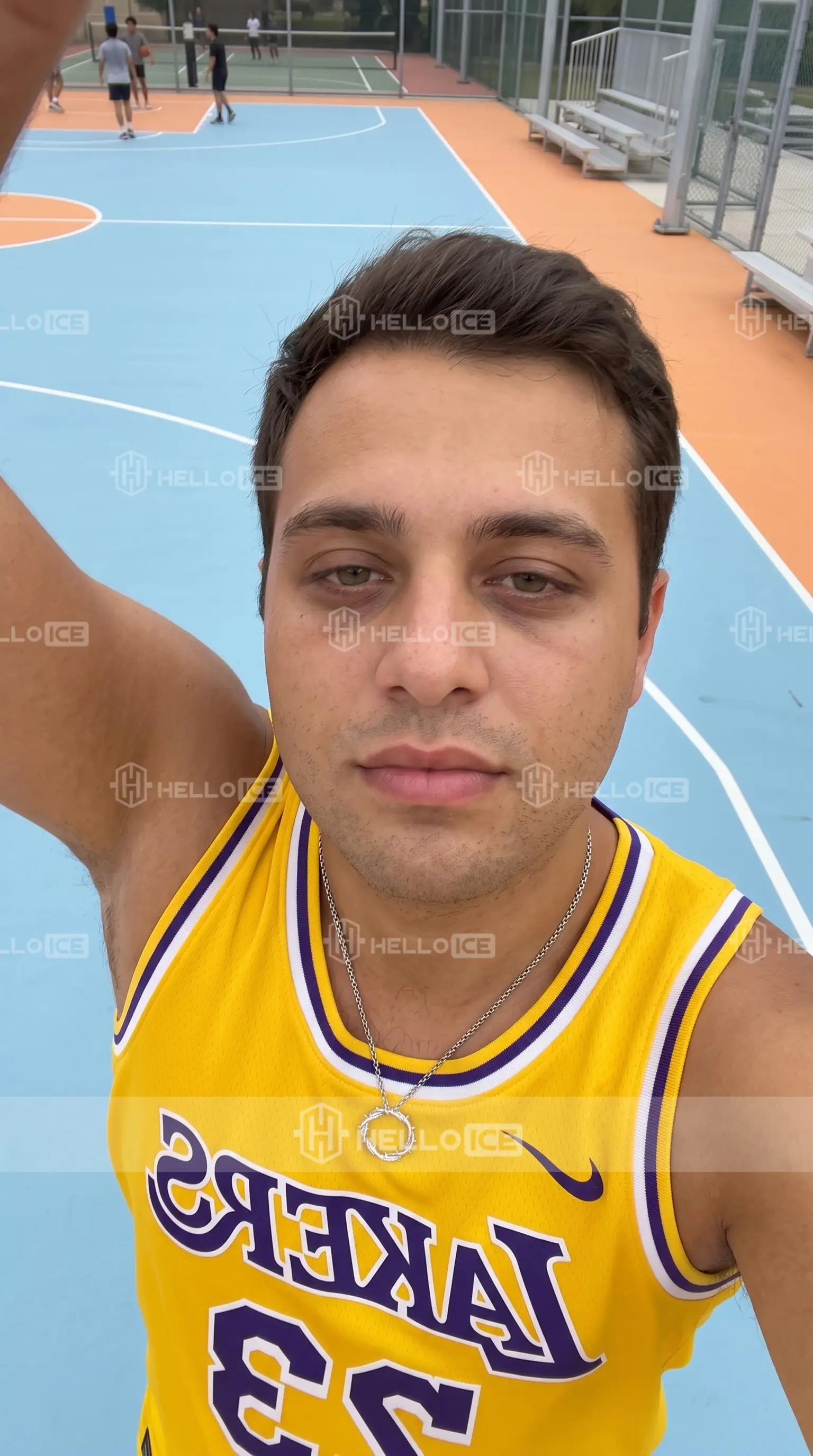 Helloice Review Image