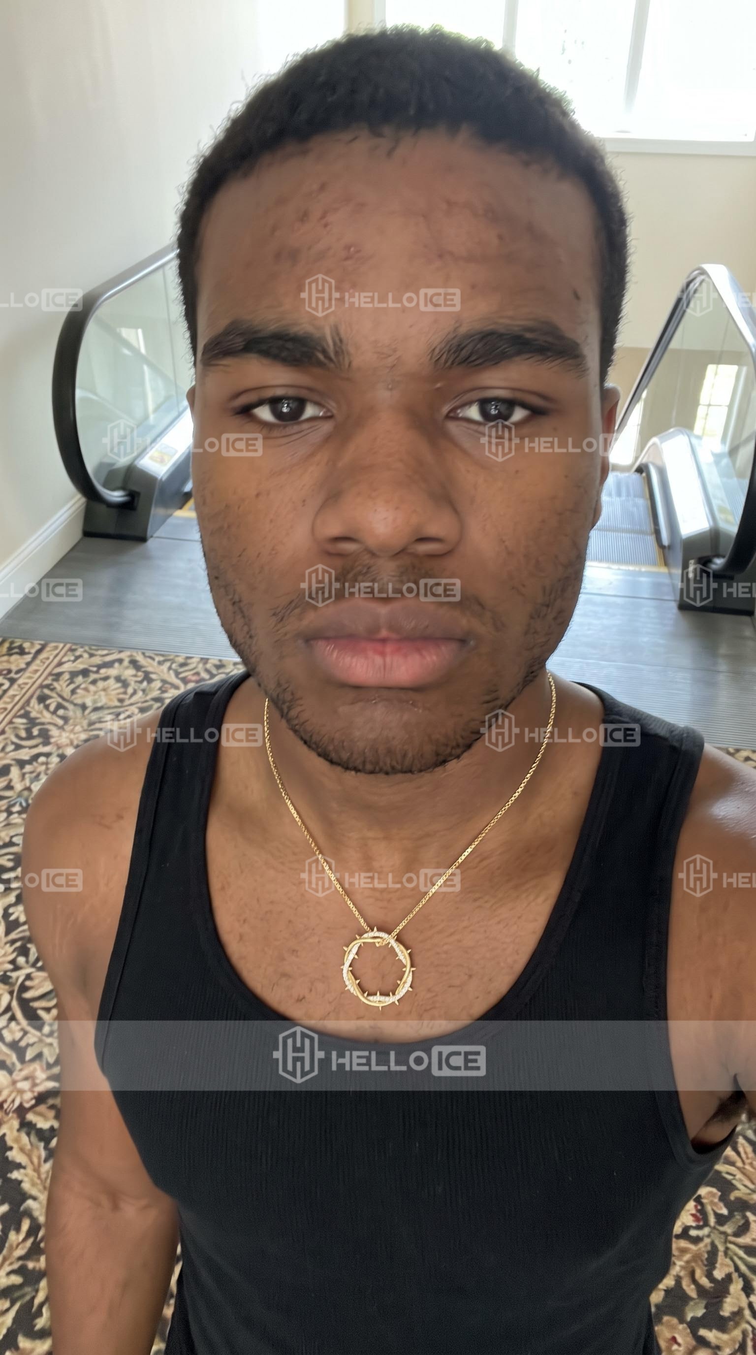 Helloice Review Image