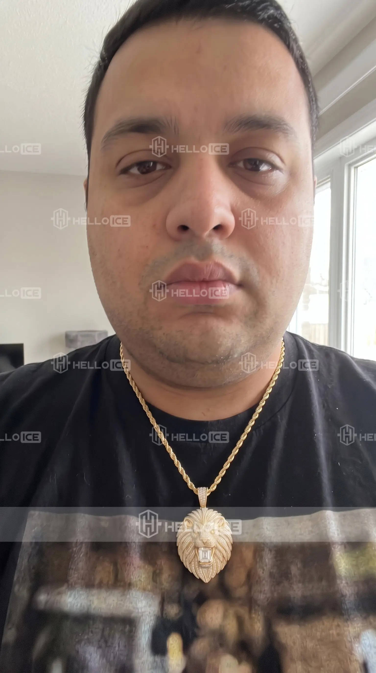 Helloice Review Image