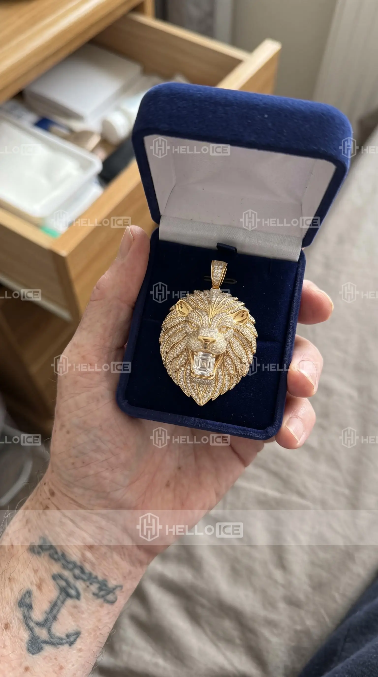 Helloice Review Image