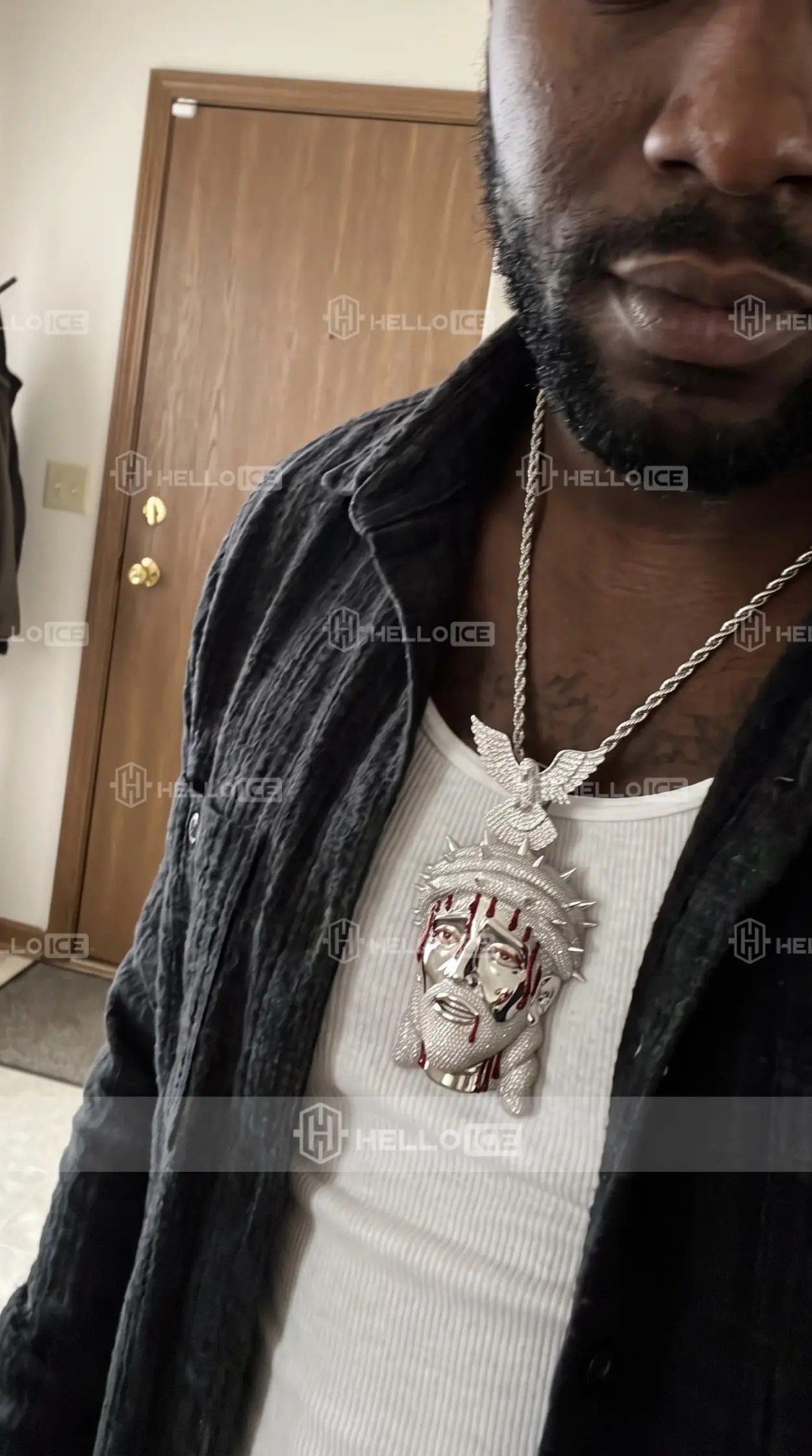 Helloice Review Image