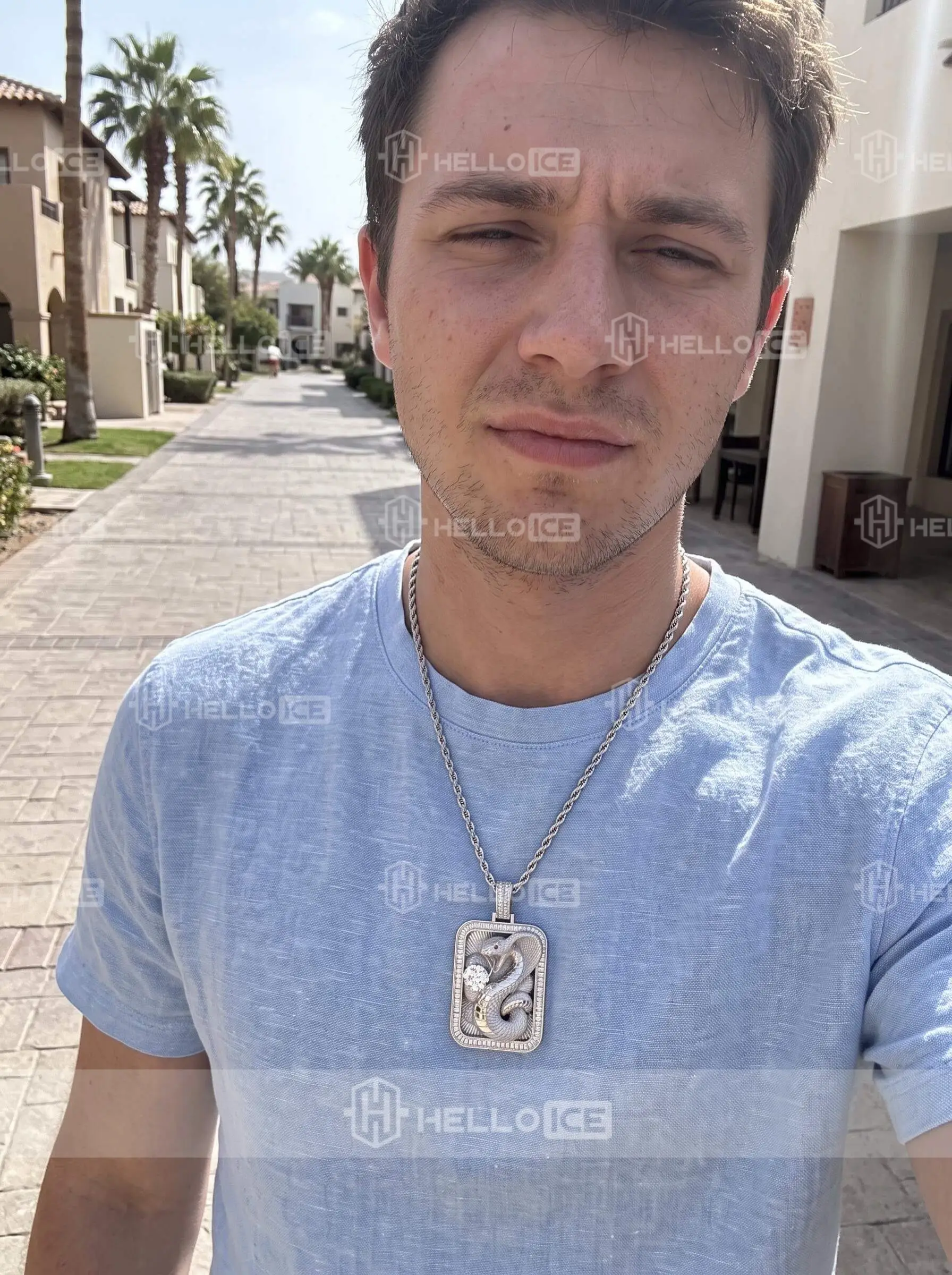 Helloice Review Image