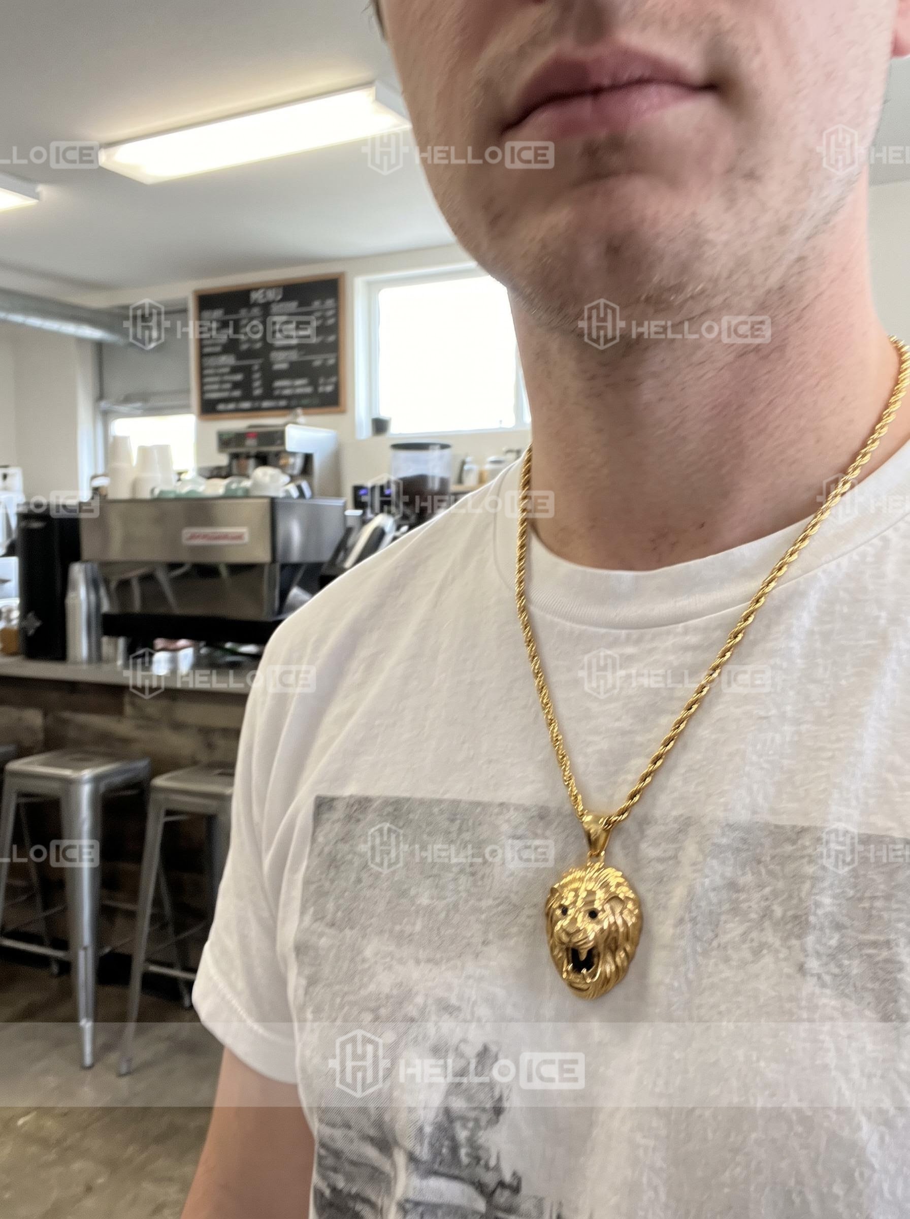 Helloice Review Image