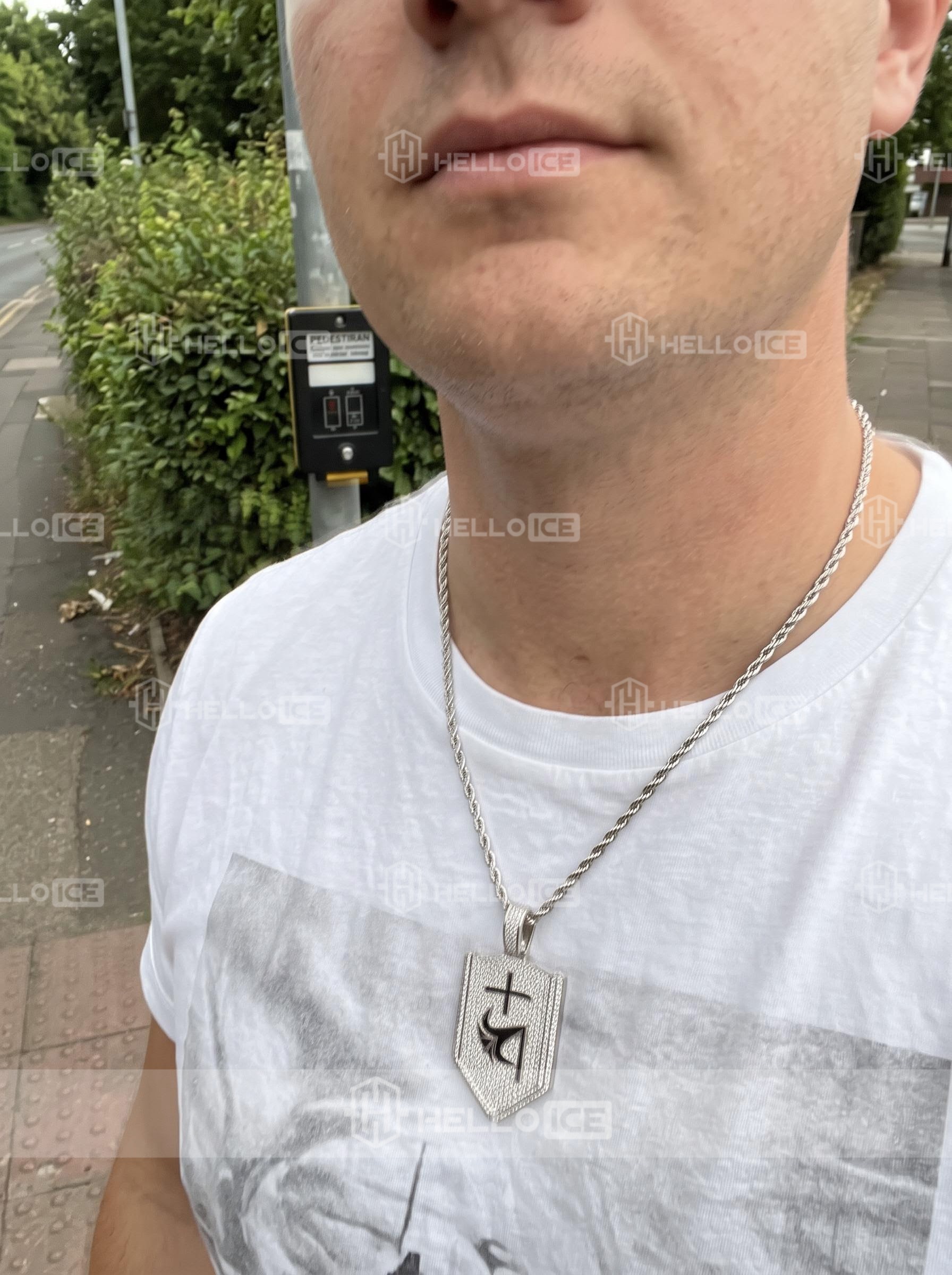 Helloice Review Image