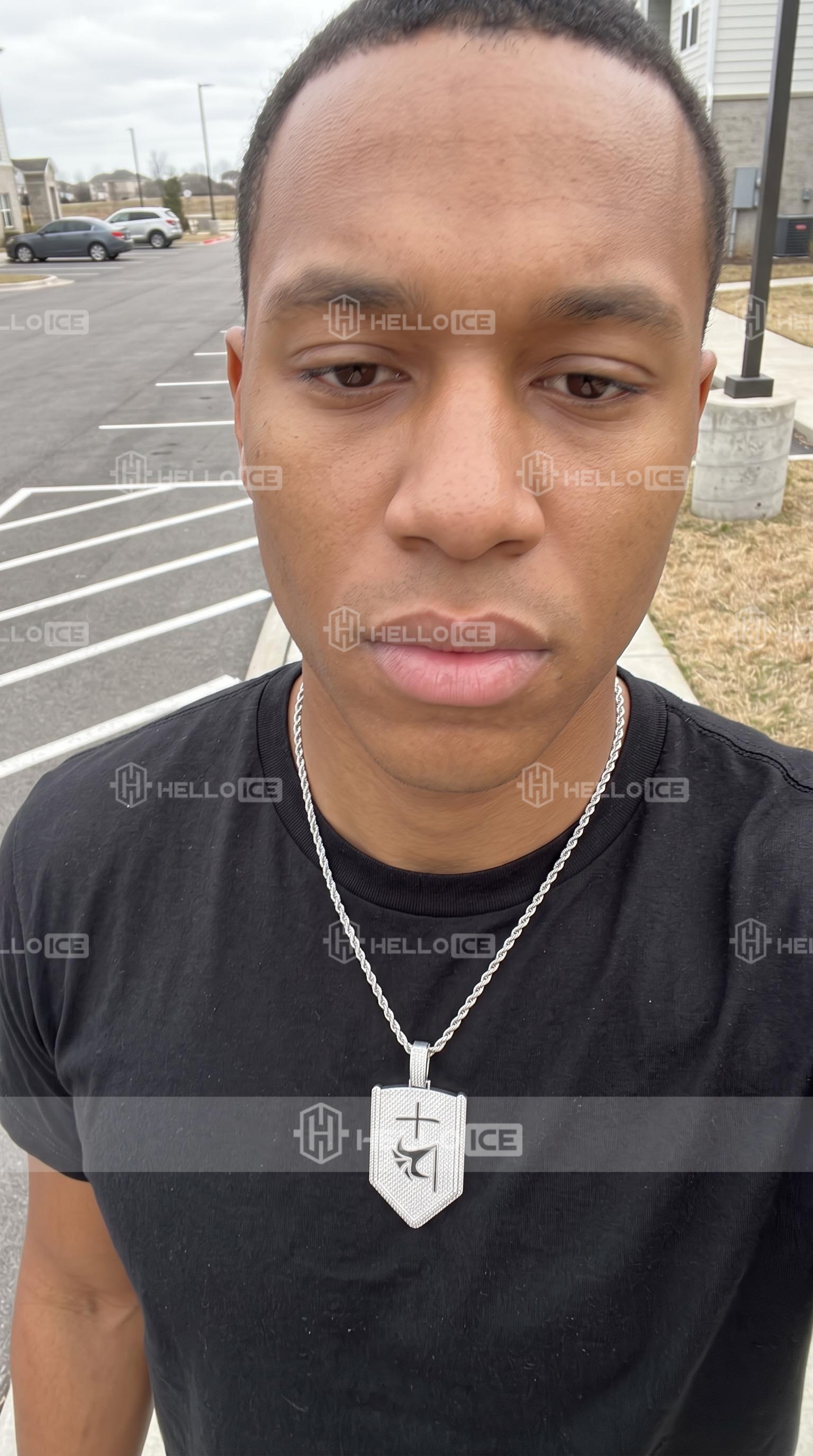 Helloice Review Image