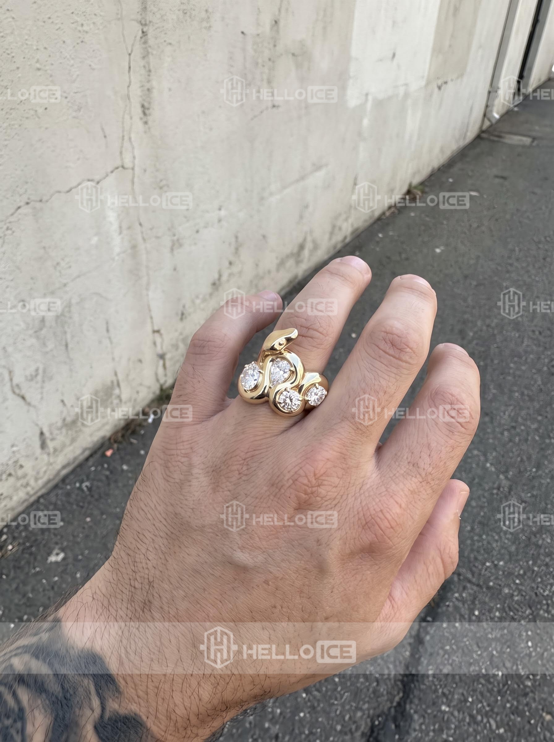 Helloice Review Image