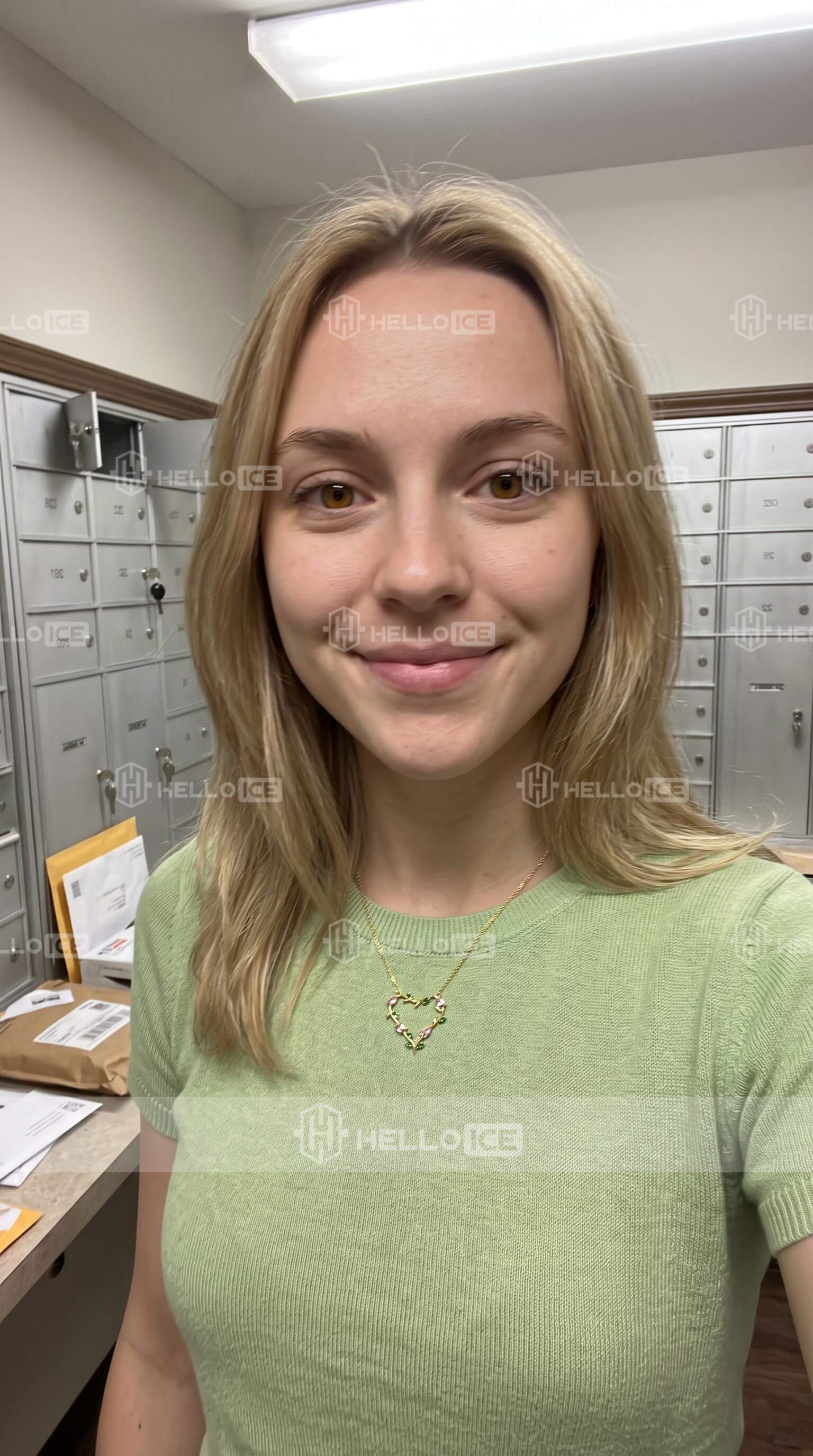 Helloice Review Image