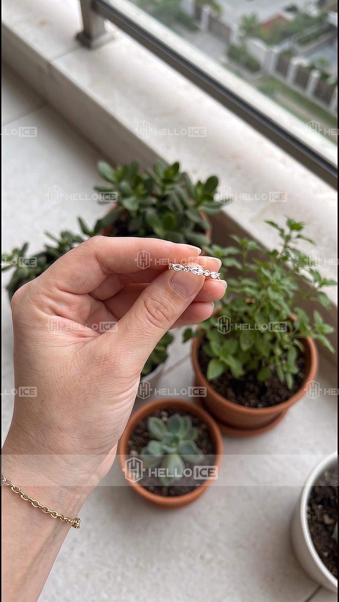 Helloice Review Image