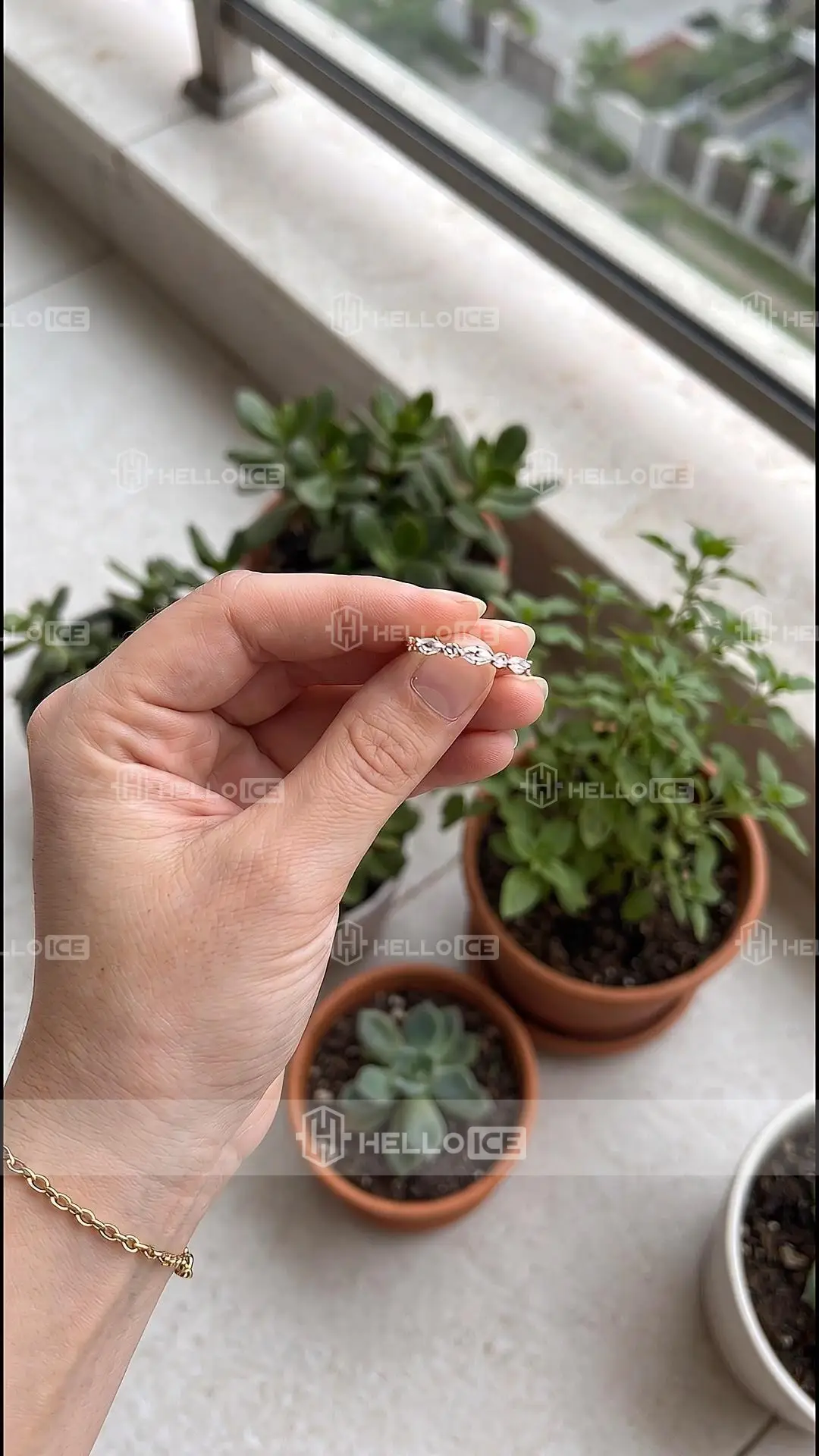 Helloice Review Image