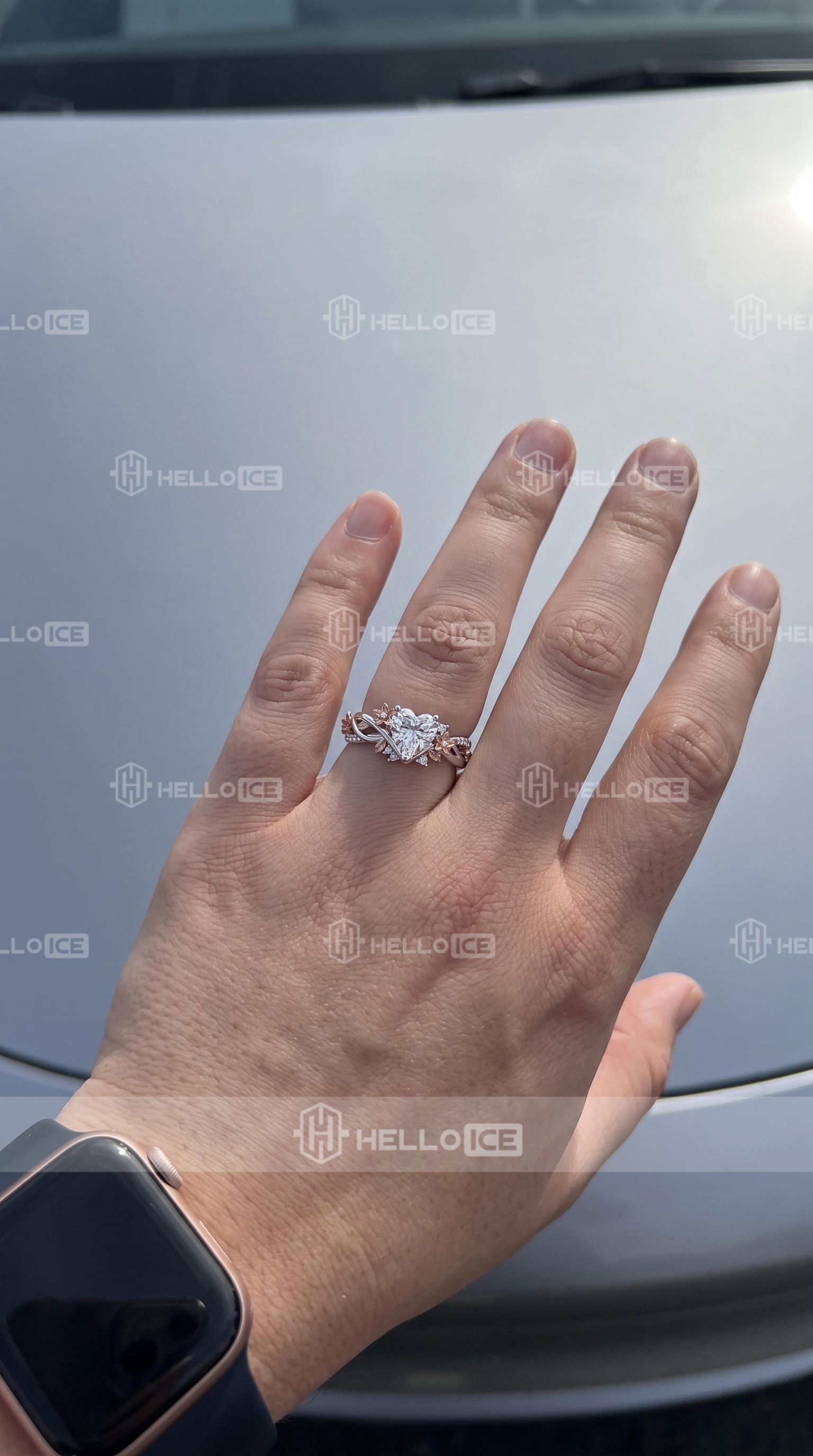 Helloice Review Image