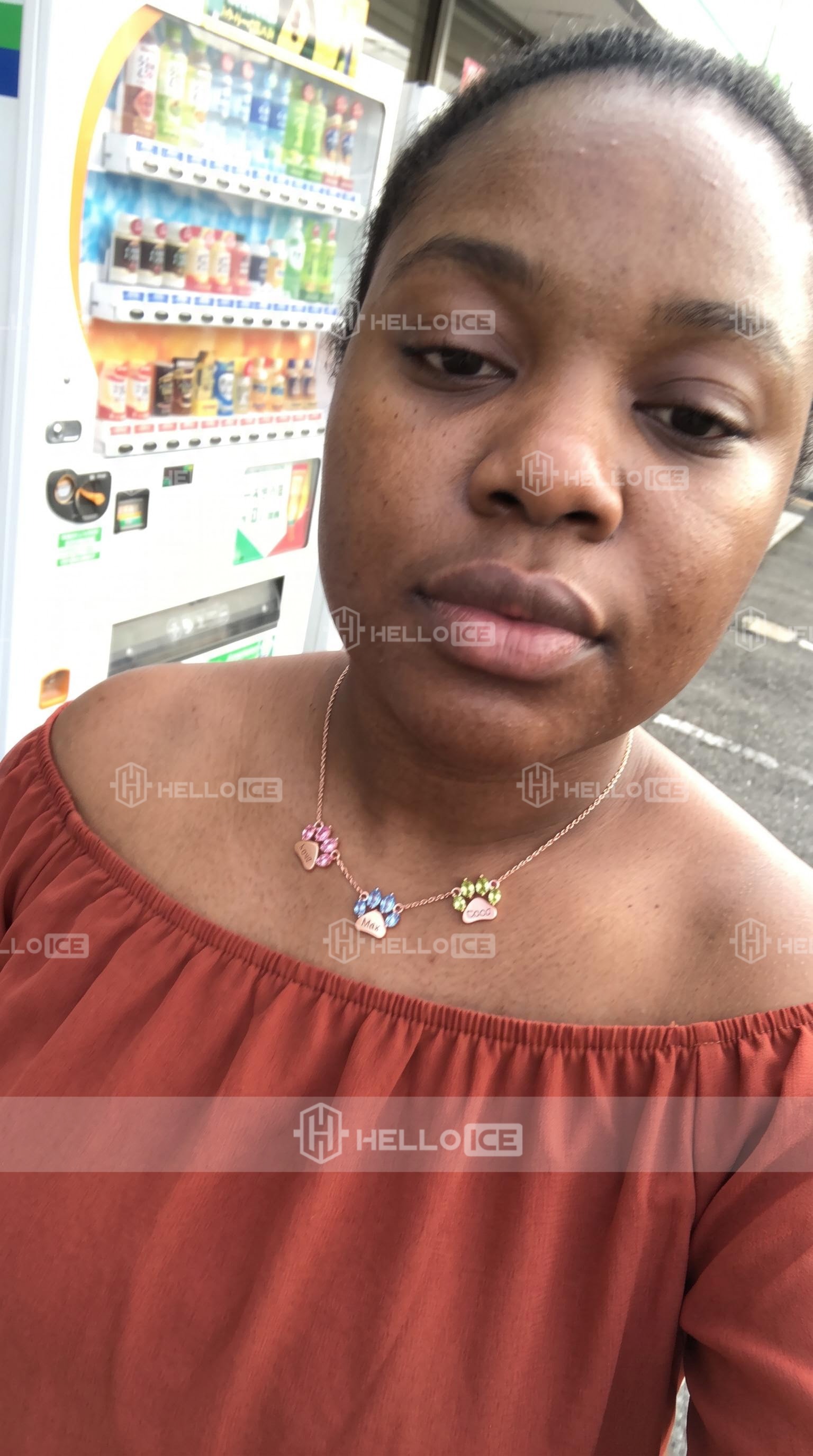 Helloice Review Image