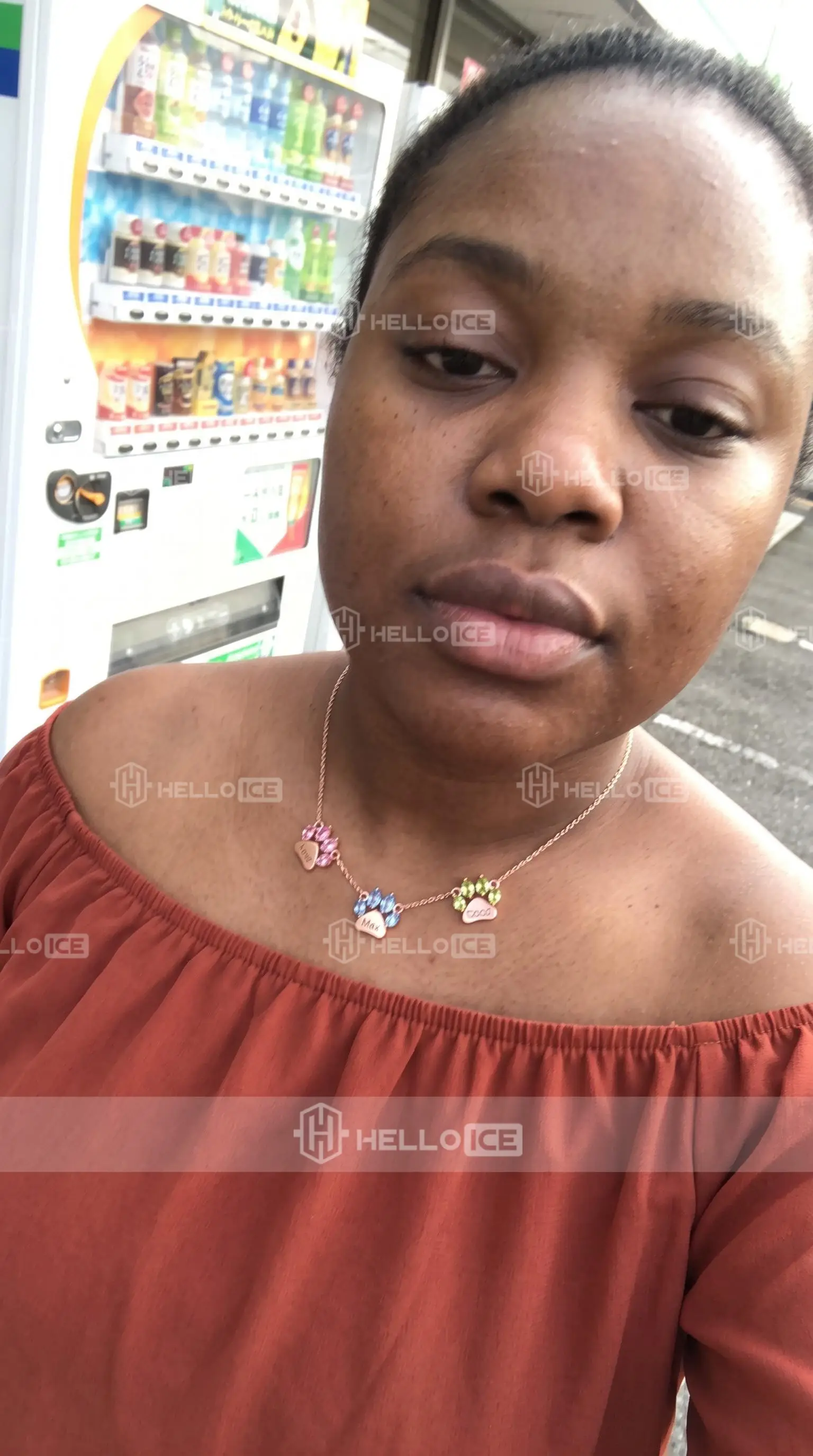 Helloice Review Image