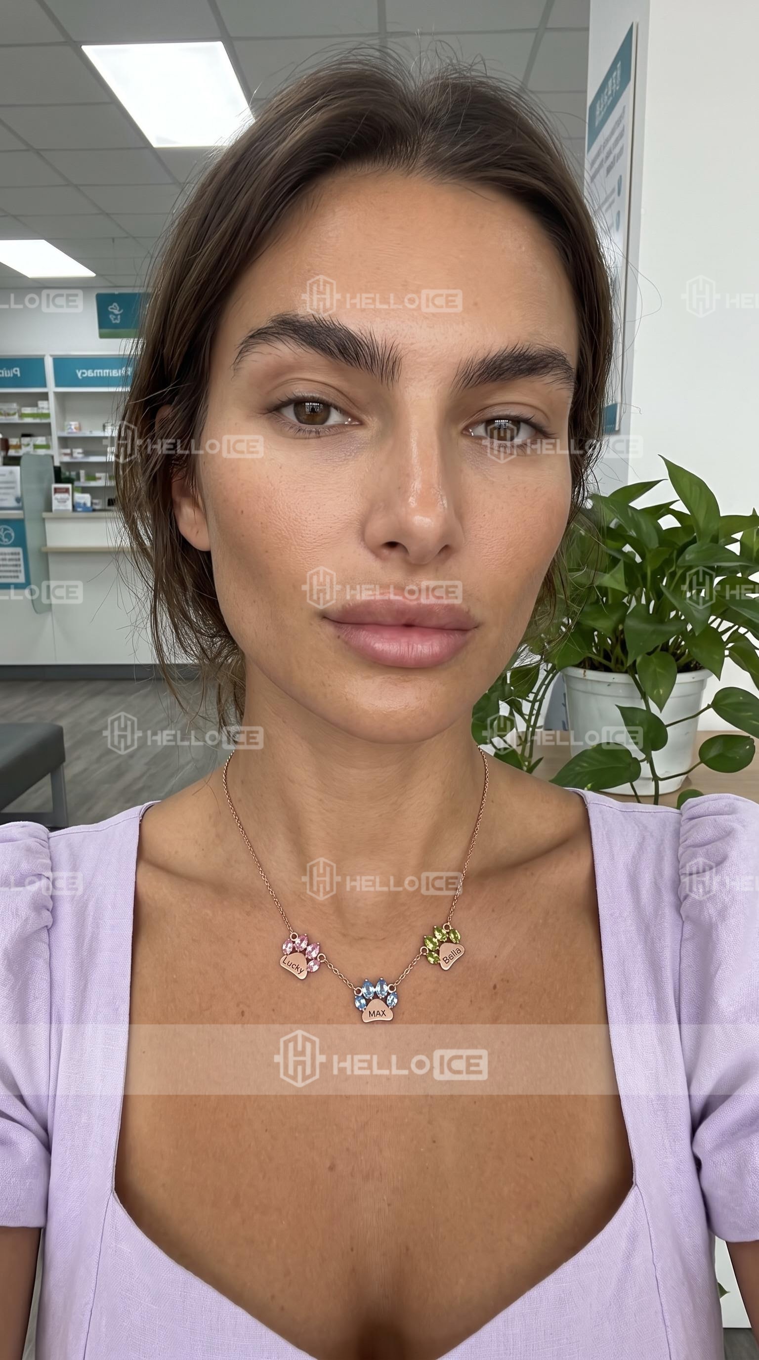 Helloice Review Image