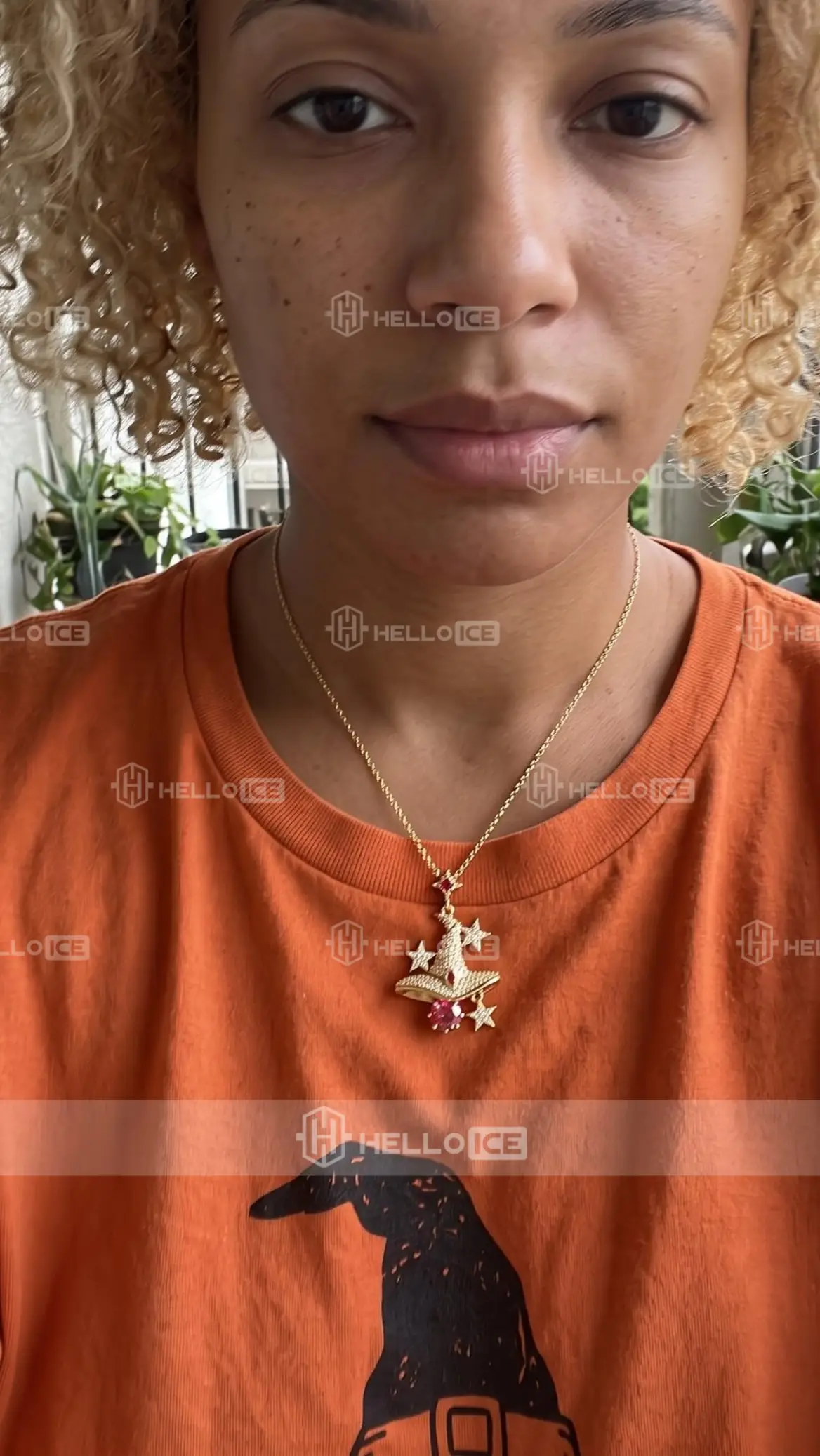 Helloice Review Image