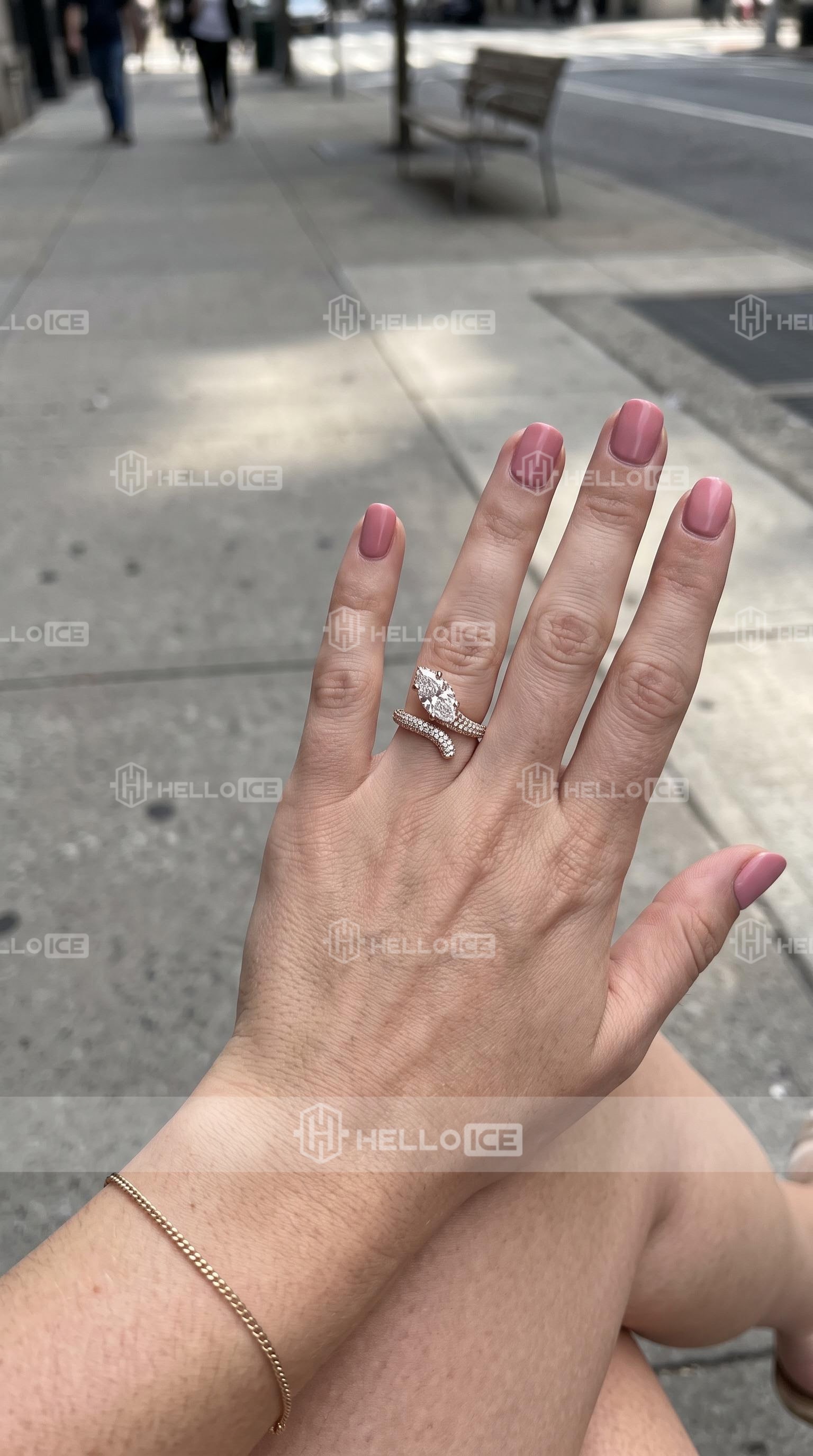 Helloice Review Image