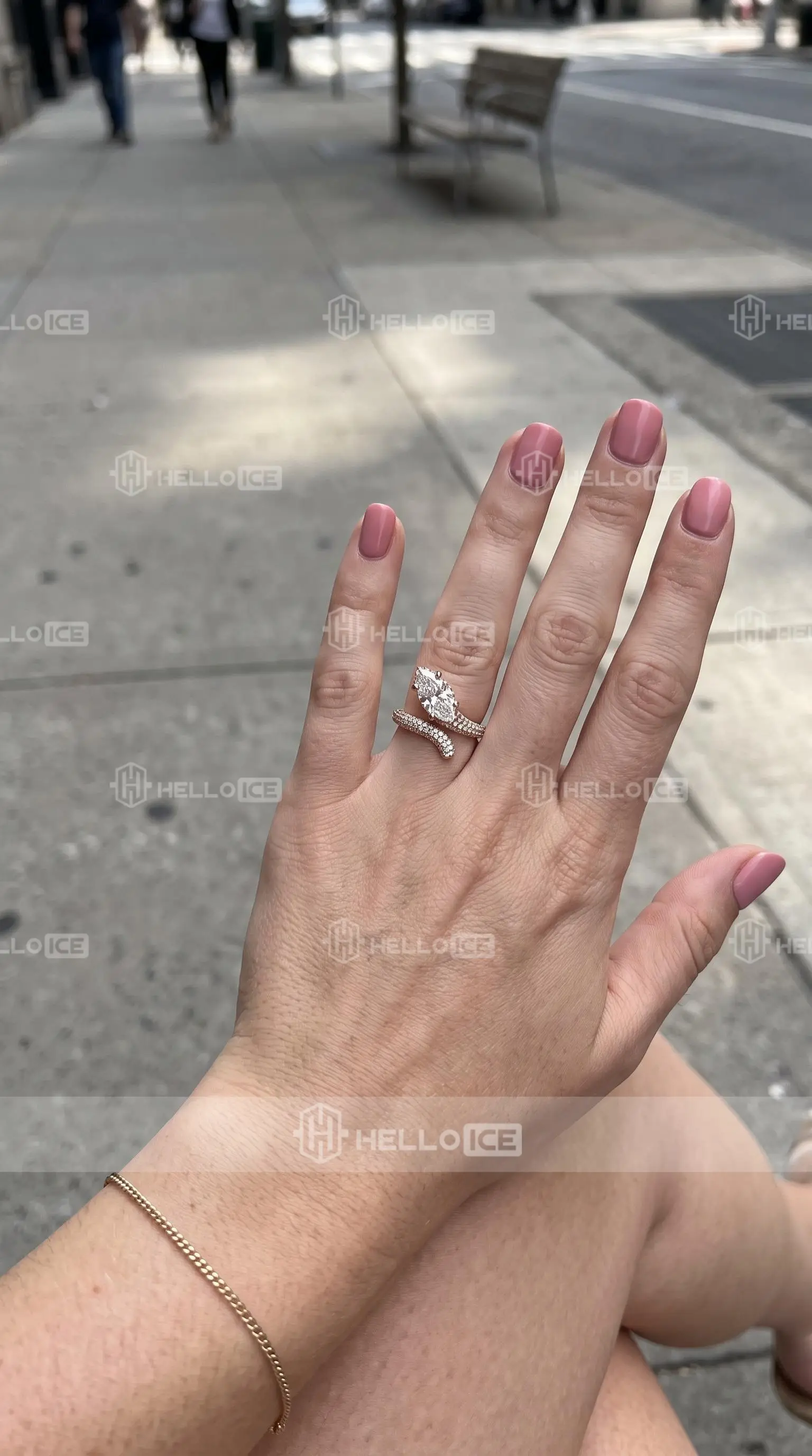 Helloice Review Image