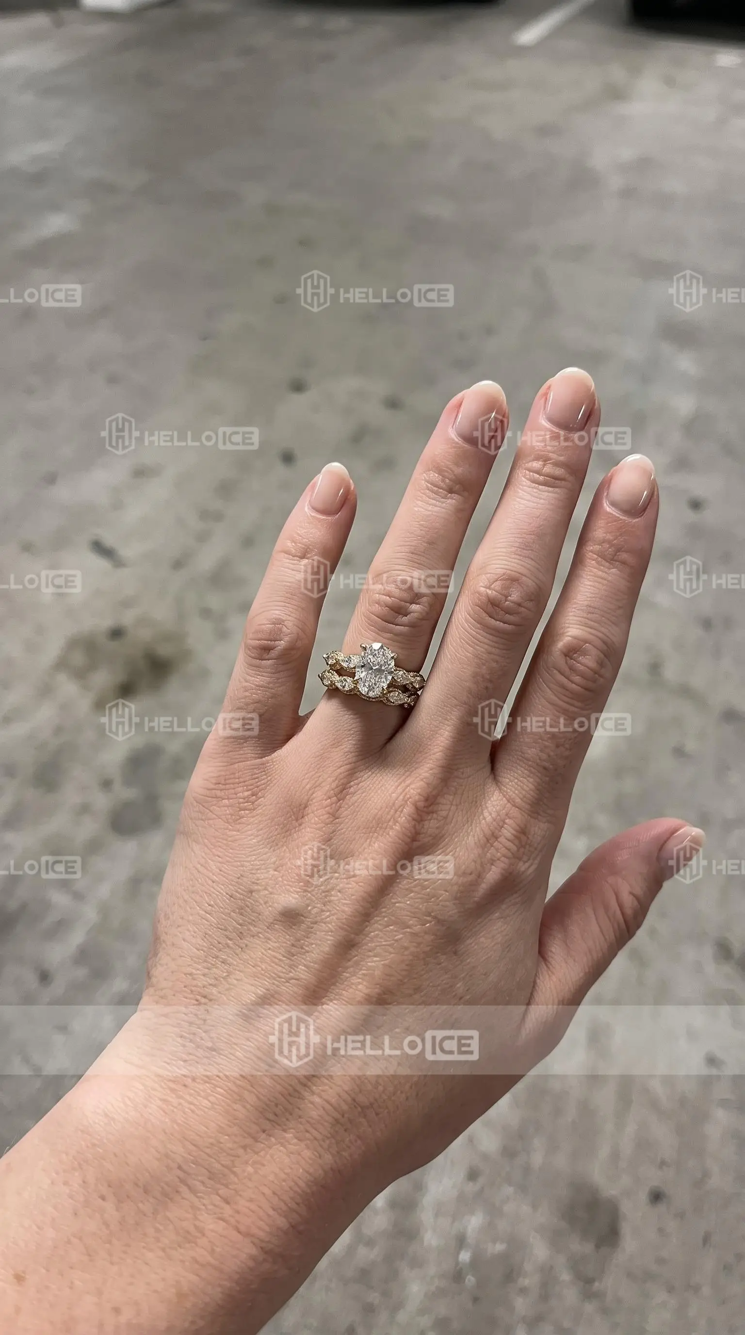 Helloice Review Image