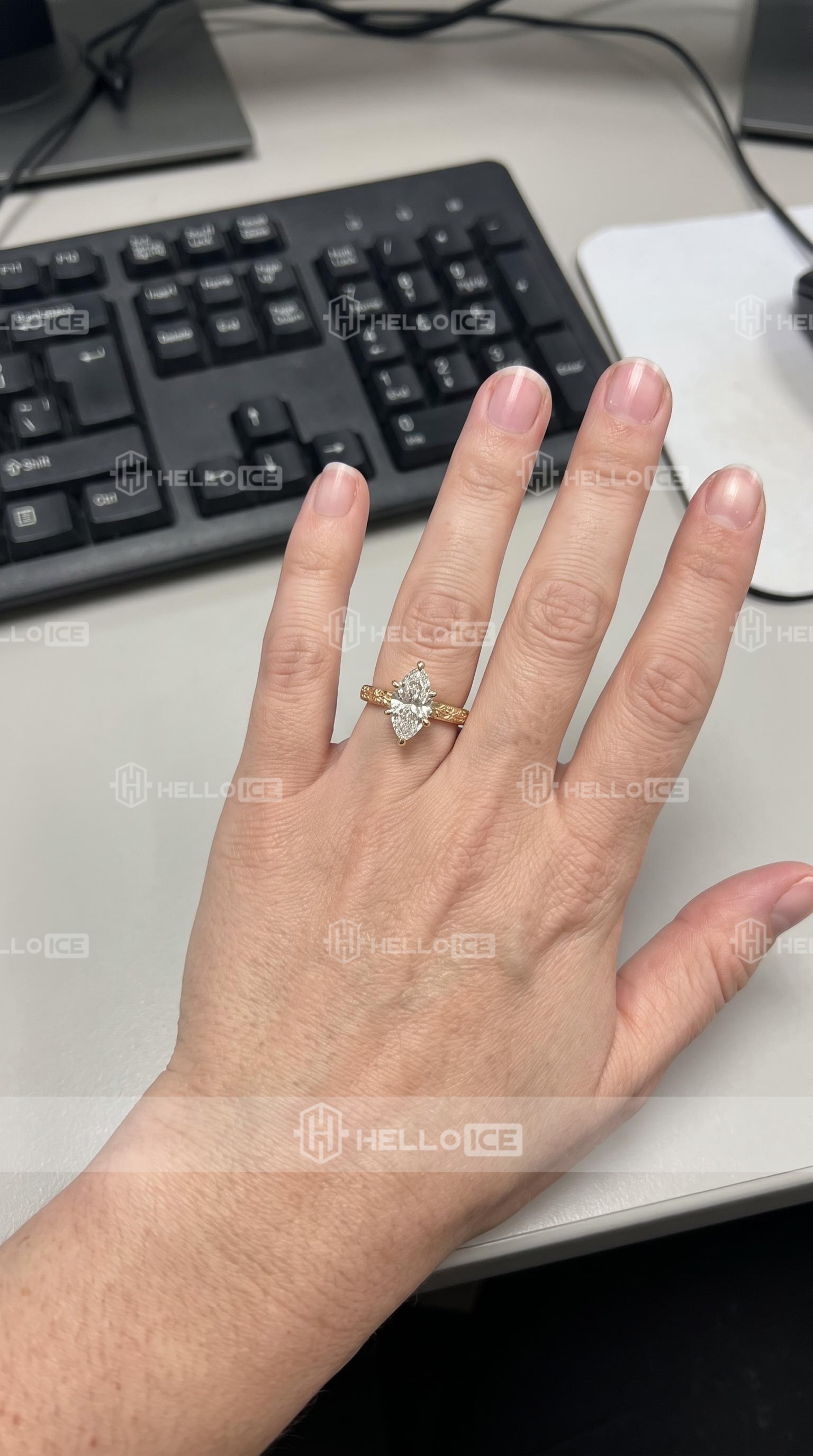 Helloice Review Image