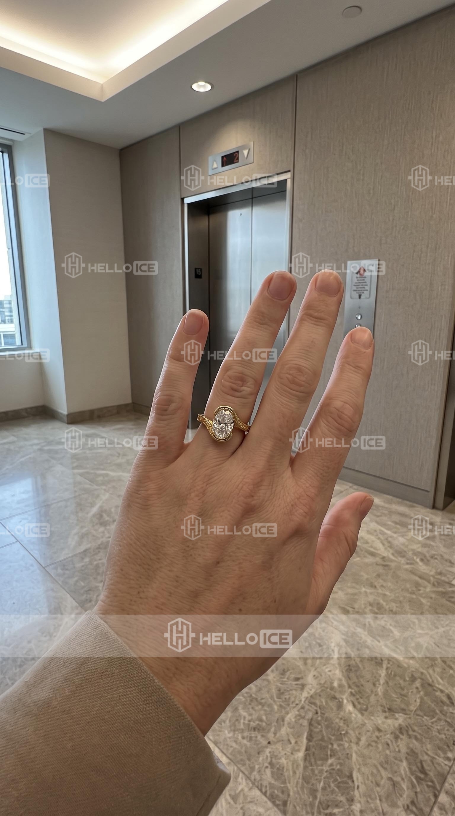 Helloice Review Image