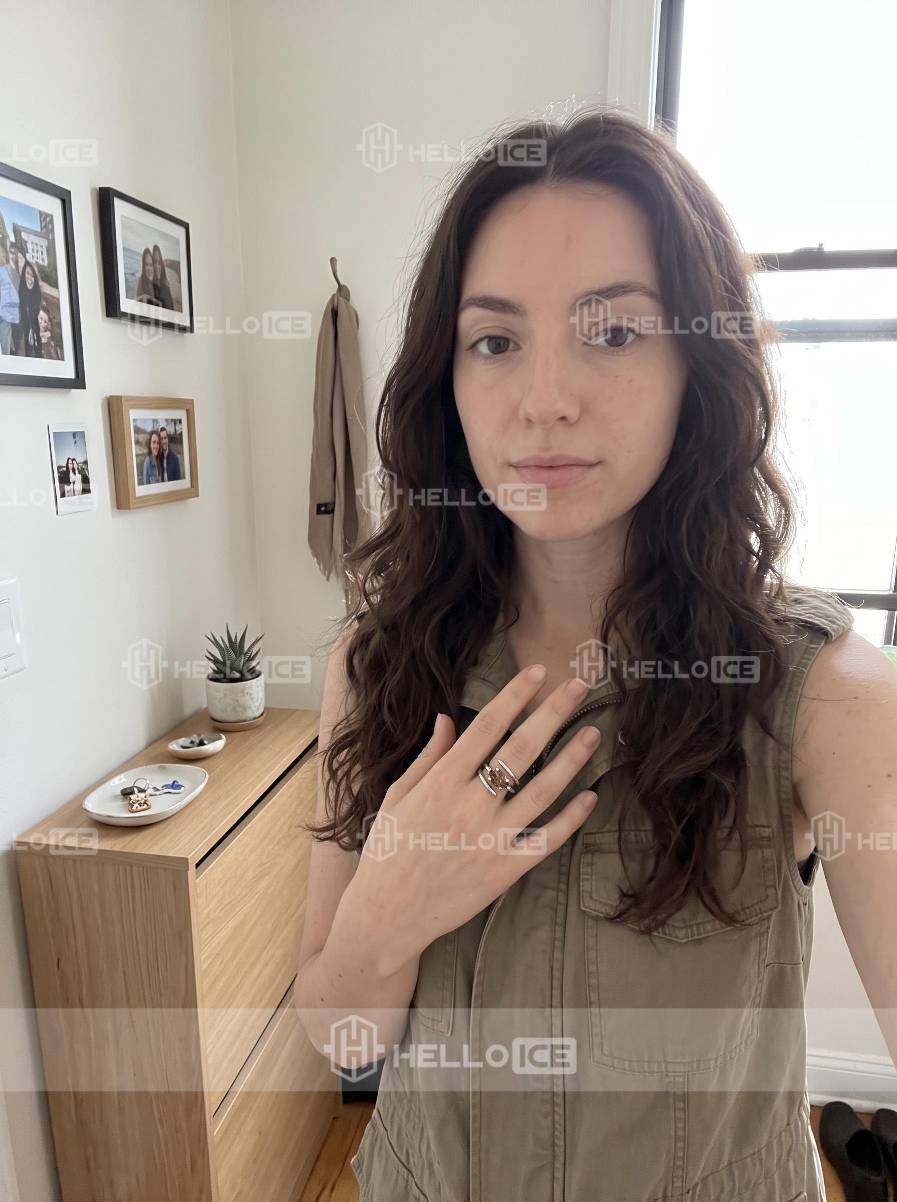 Helloice Review Image