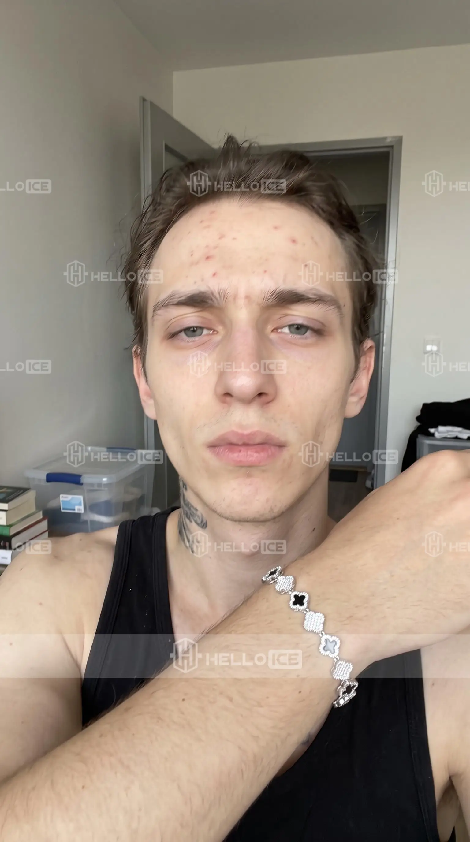 Helloice Review Image