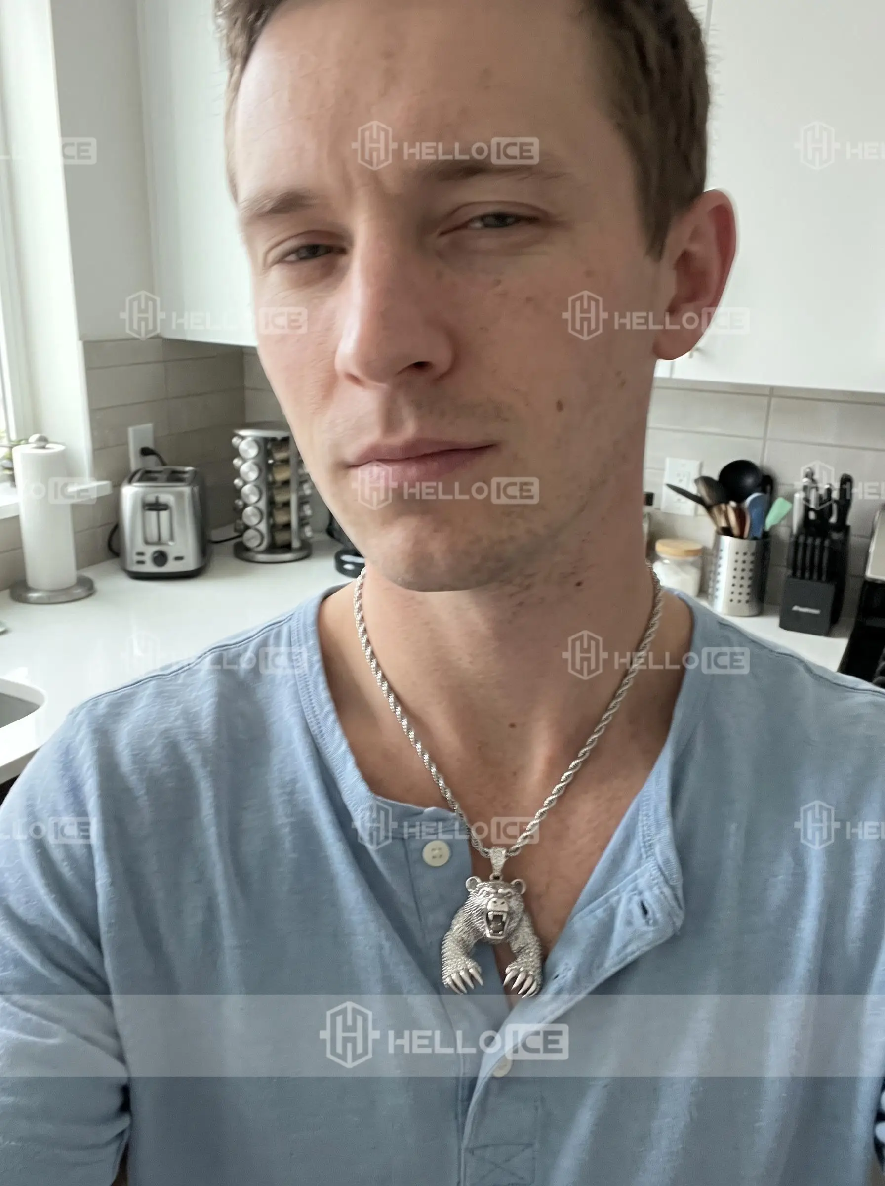 Helloice Review Image