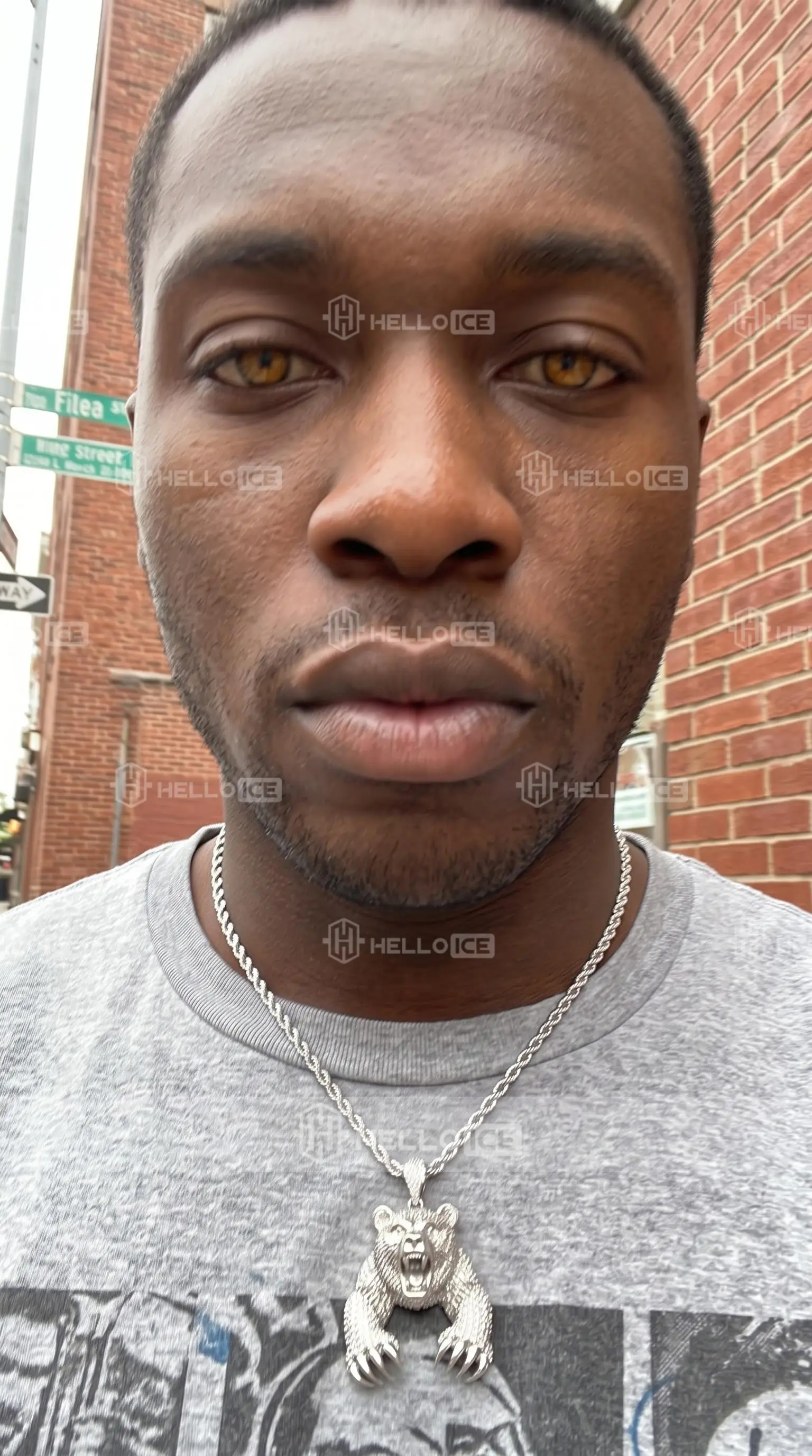 Helloice Review Image