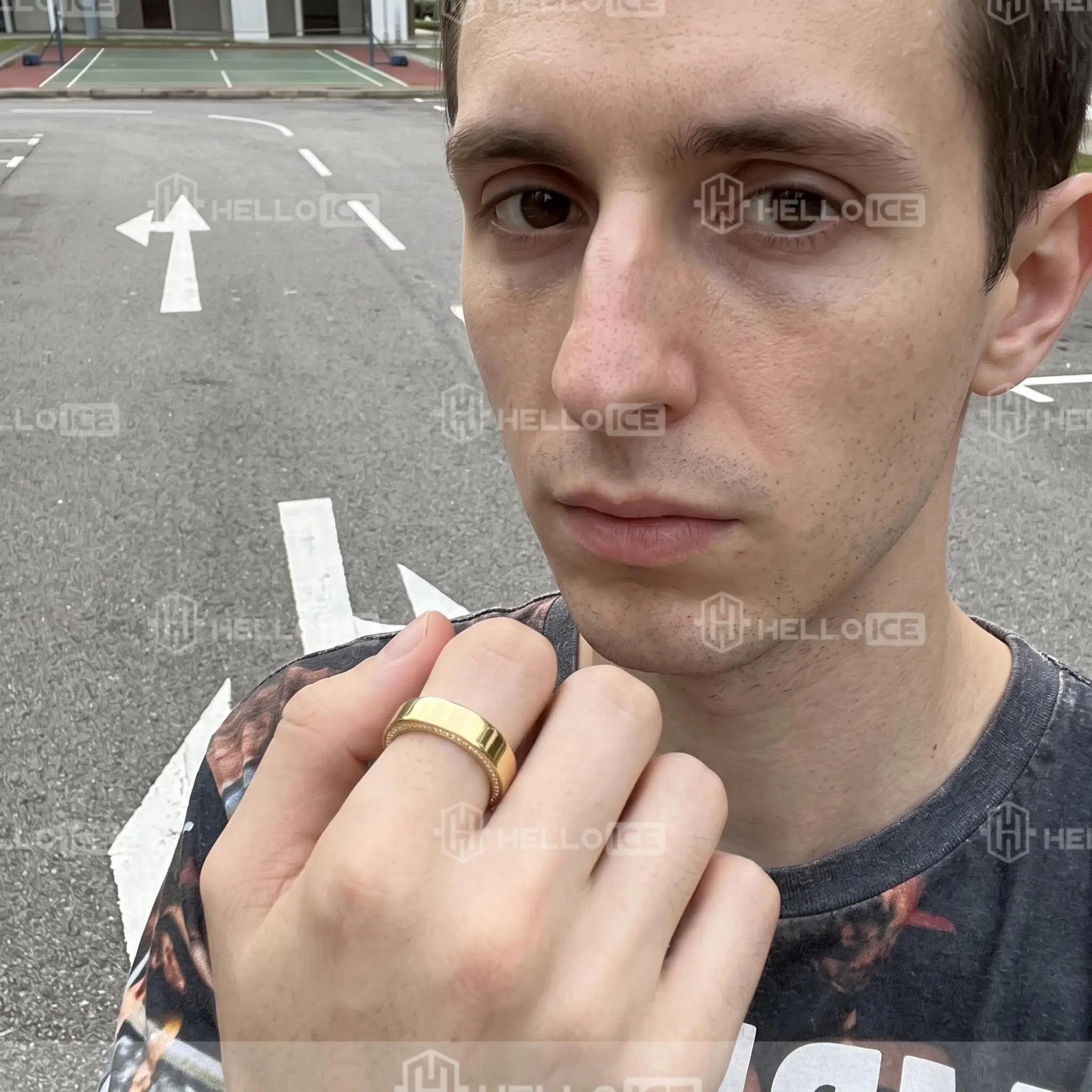 Helloice Review Image